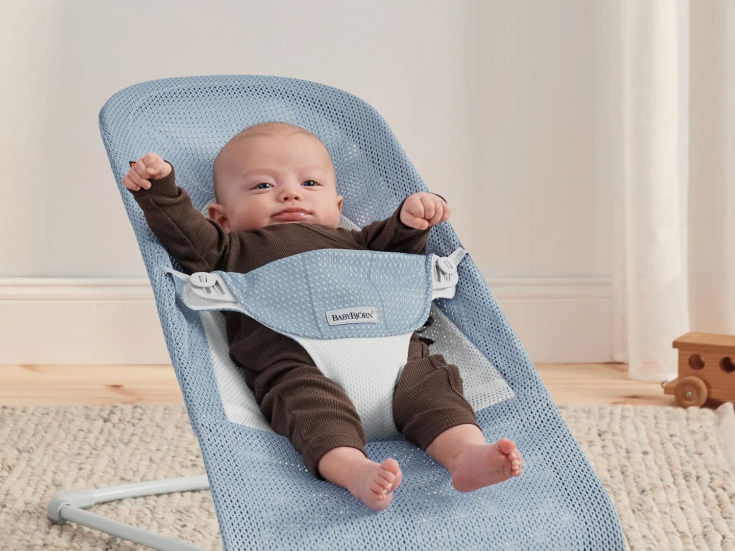 Which baby bjorn bouncer is best cheap