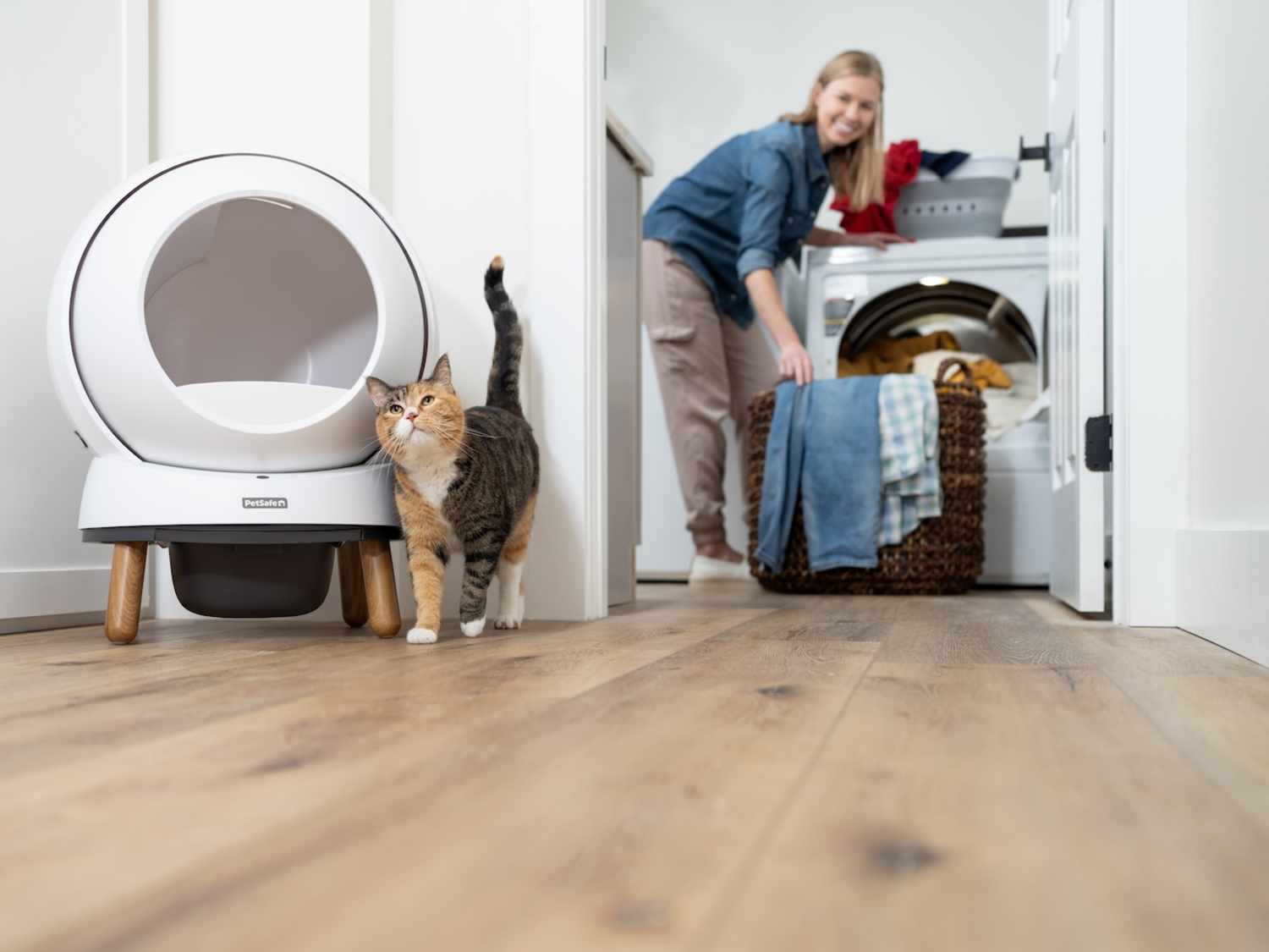 I Tested PetSafe's Self-Cleaning Litter Box: Review Photos