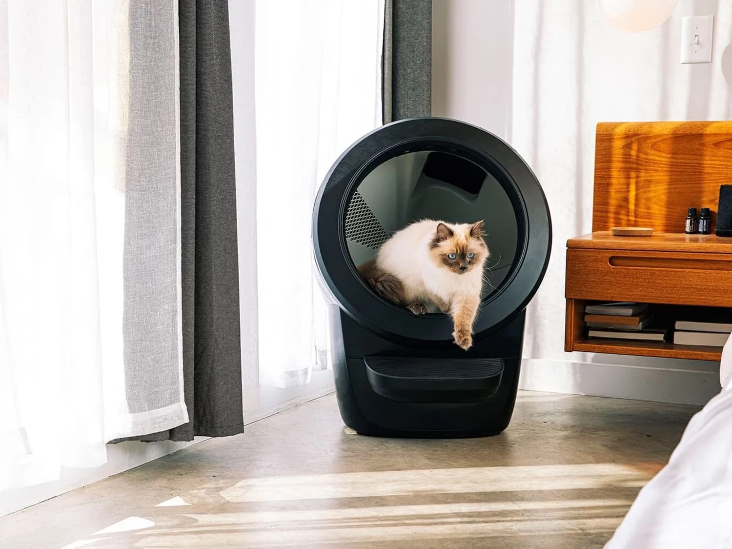 The Litter Robot s Hopper Is a Game Changer for Cat Owners Apartment Therapy