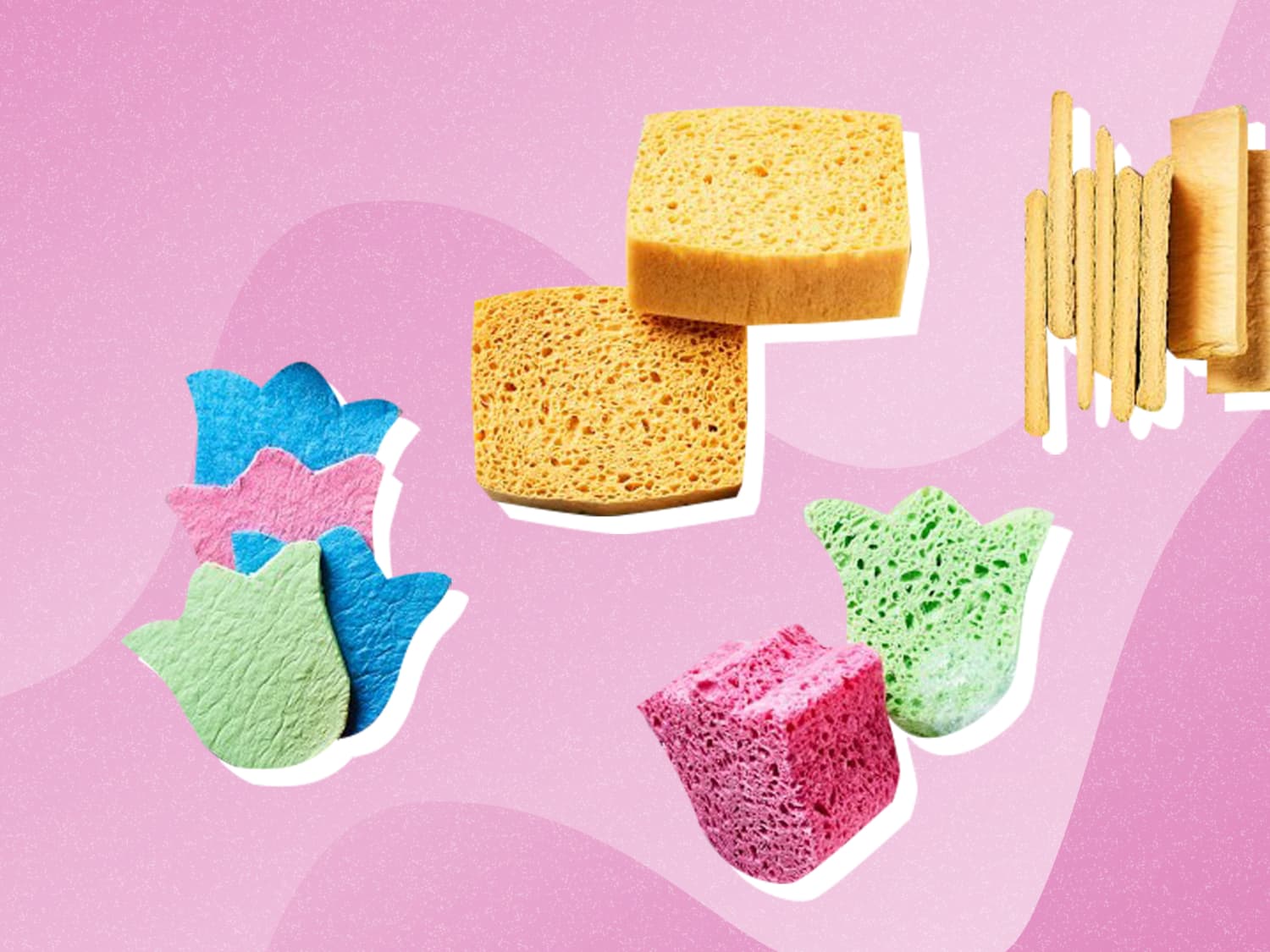 Williams Sonoma Colored Pop-Up Sponges, dishwasher, dish