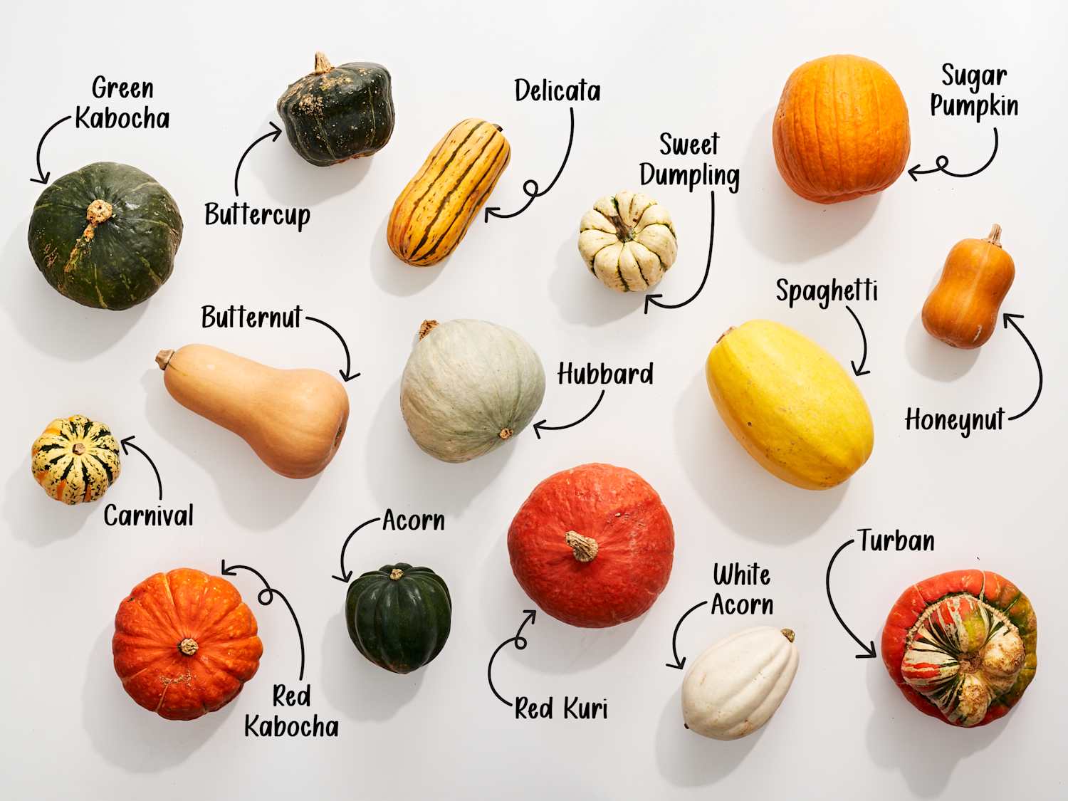 16 Types of Winter Squash To Know (Plus How to Use Them) | The Kitchn
