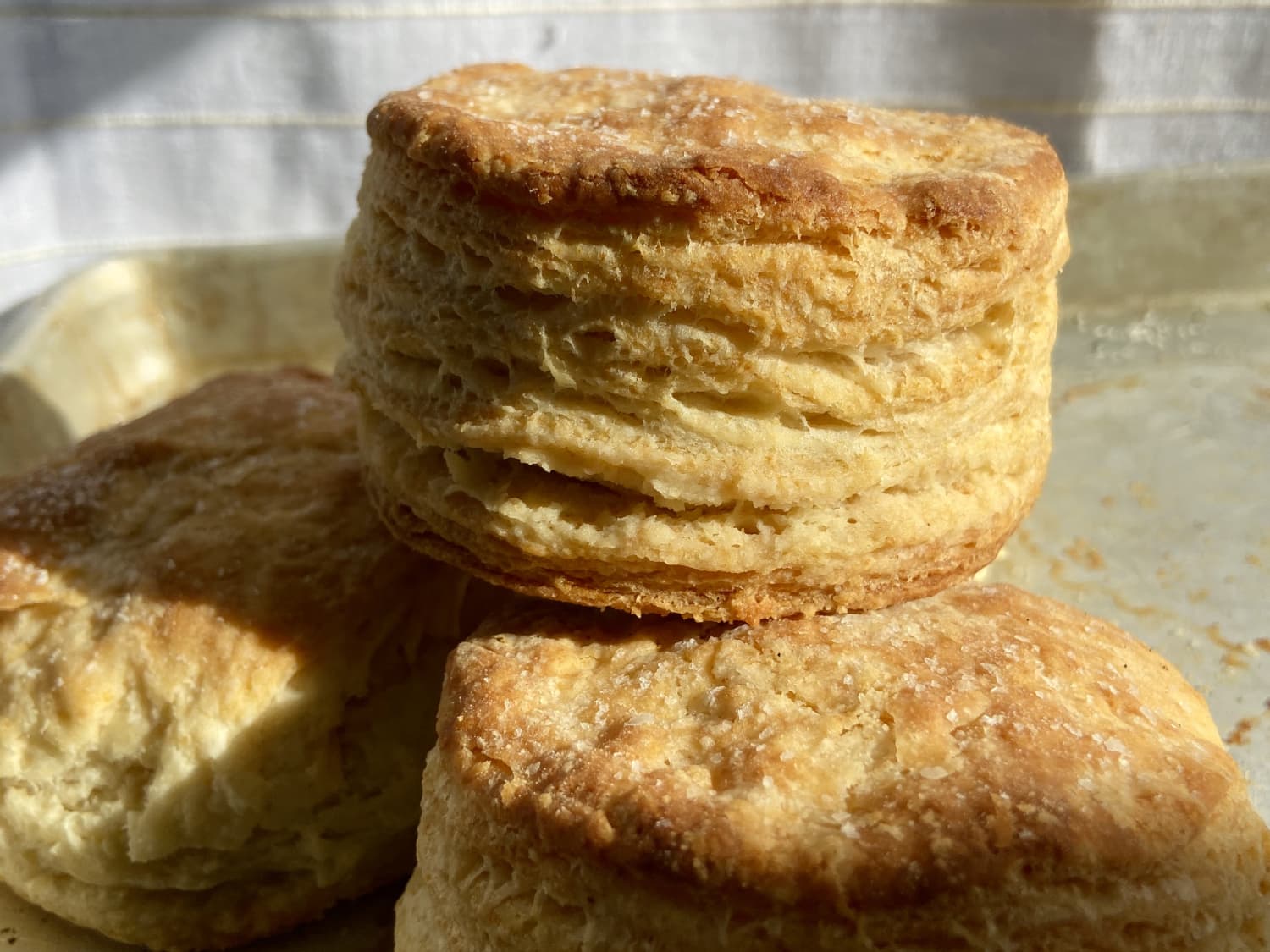 Flaky Sourdough Biscuits