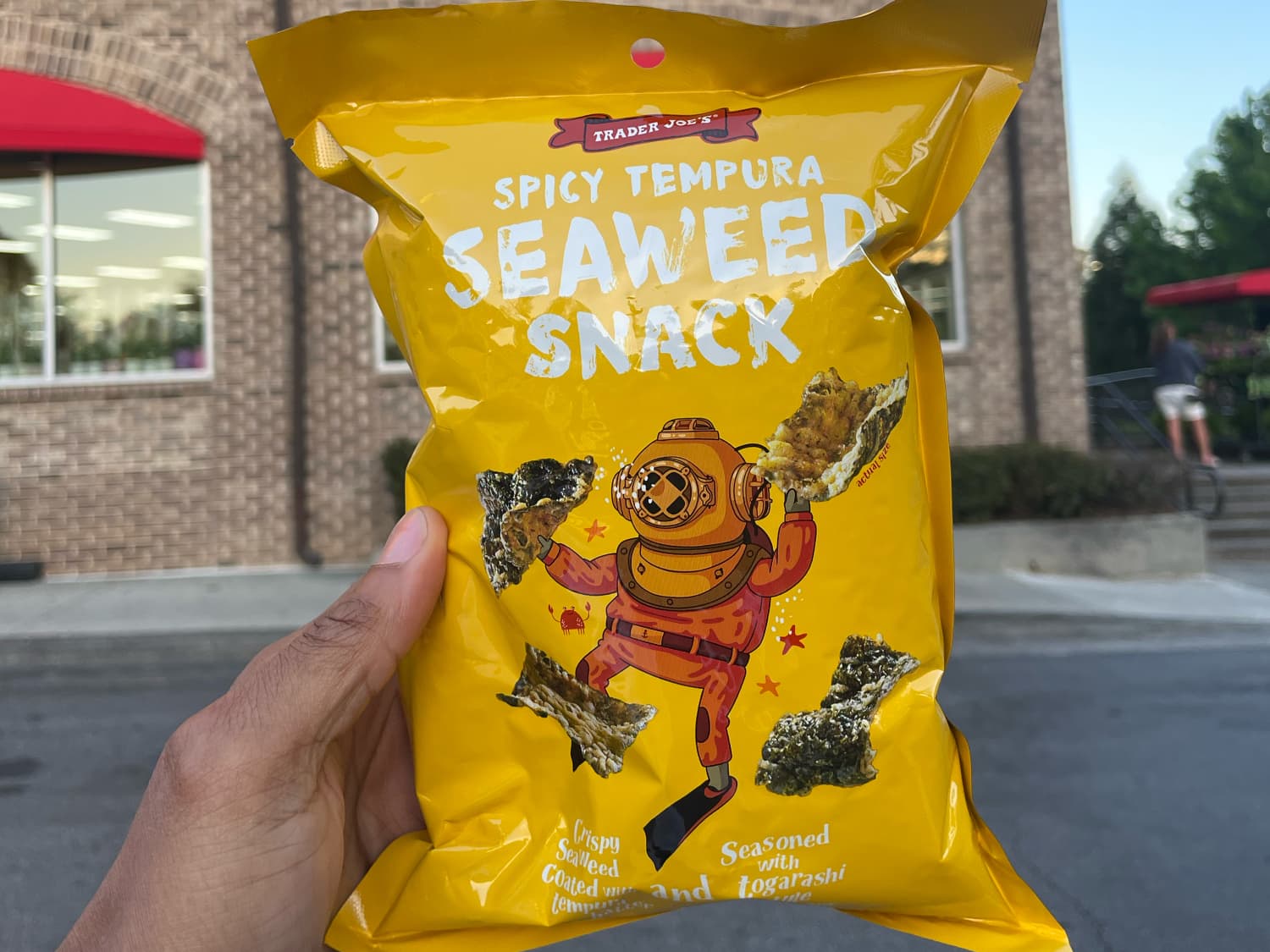 are seaweed snacks good for dogs