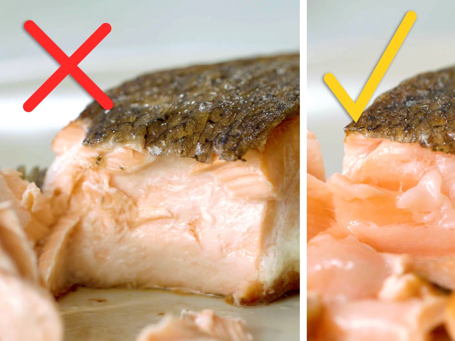 How to Tell if Salmon is Bad: What Does Bad Salmon Look Like? – Alaskan  Salmon Co.