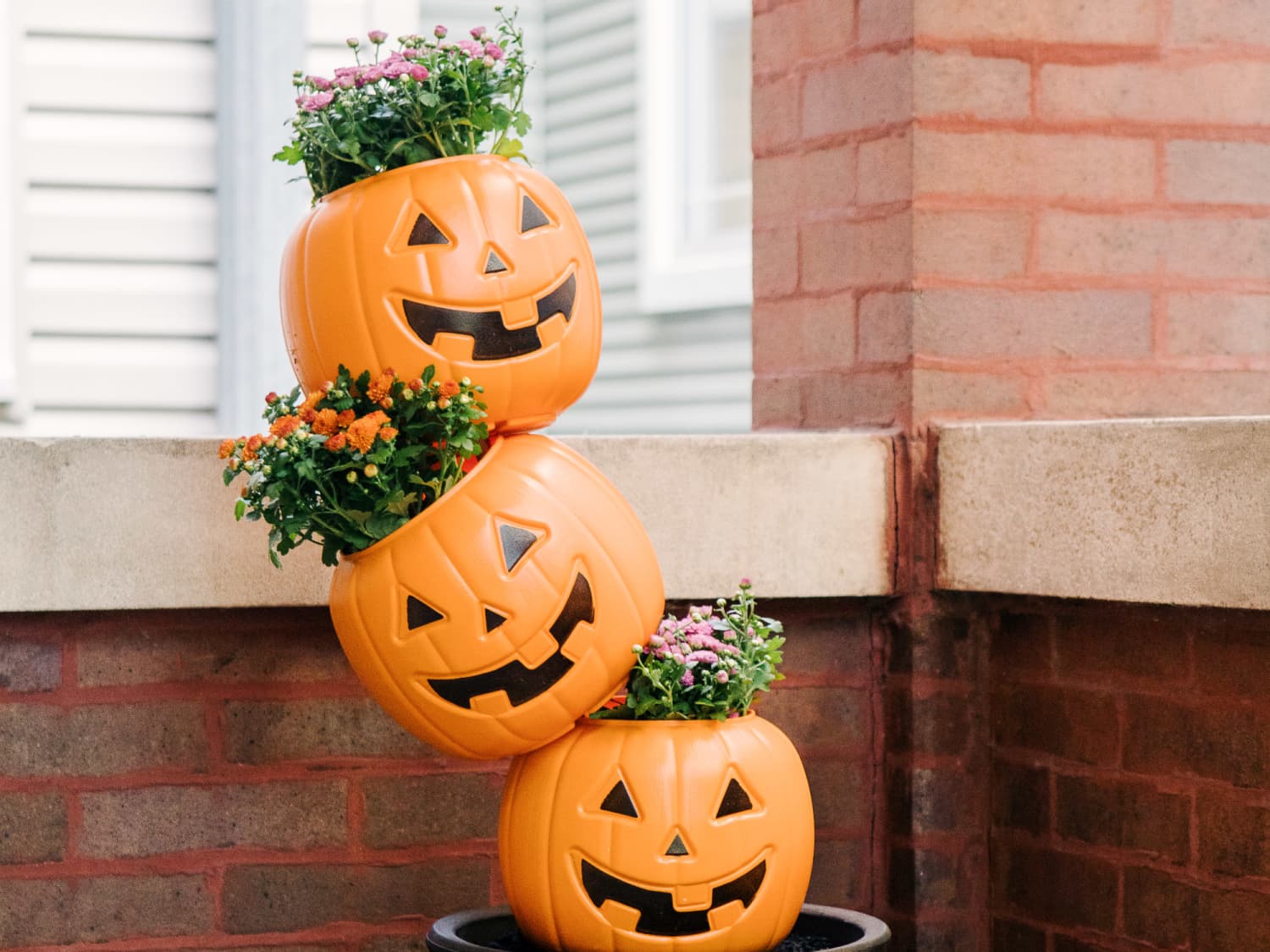 Pumpkin Tooth Planters