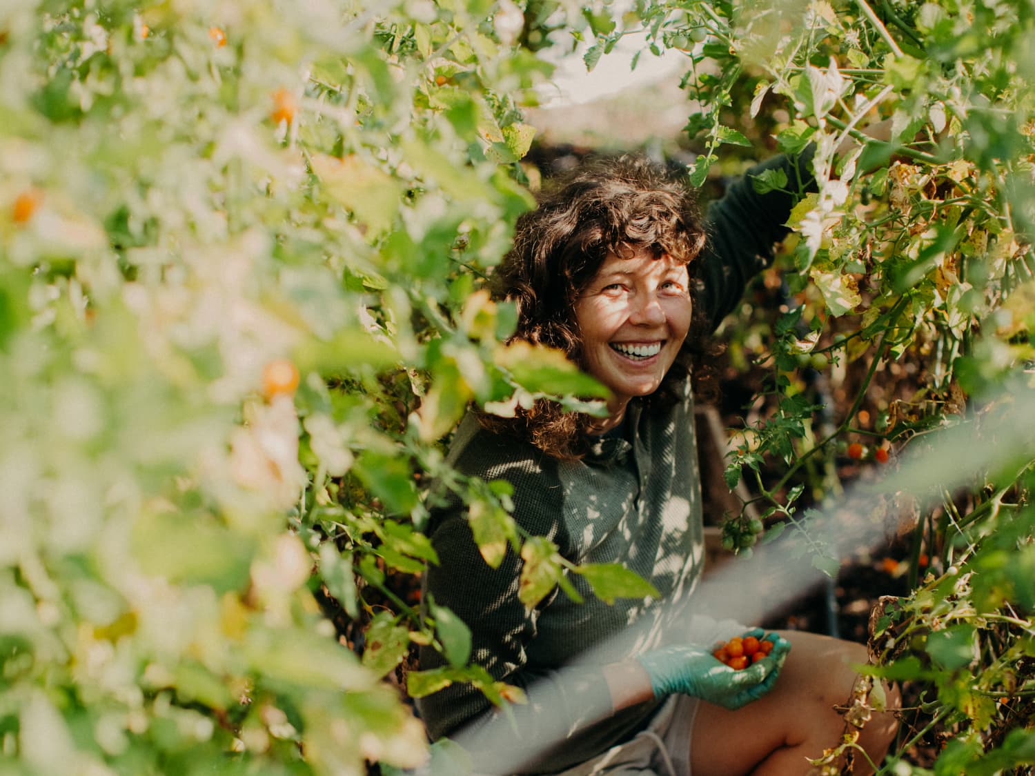 How I Started My Urban Farm In Columbus Ohio Kitchn