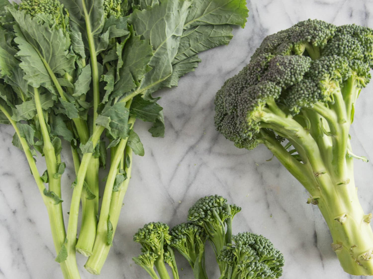 What S The Difference Between Broccoli Broccolini Broccoli Rabe