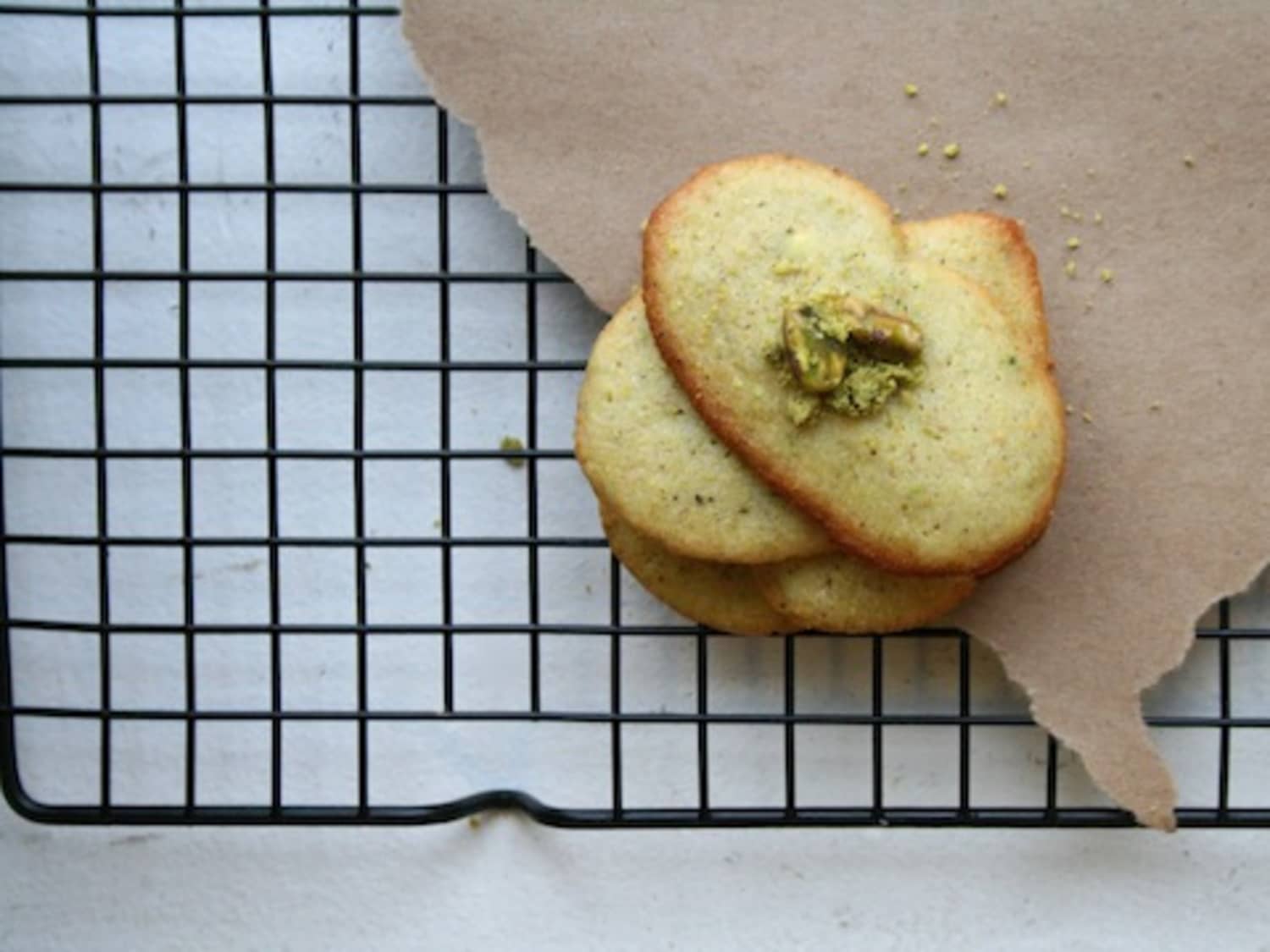 chats portant des toasts