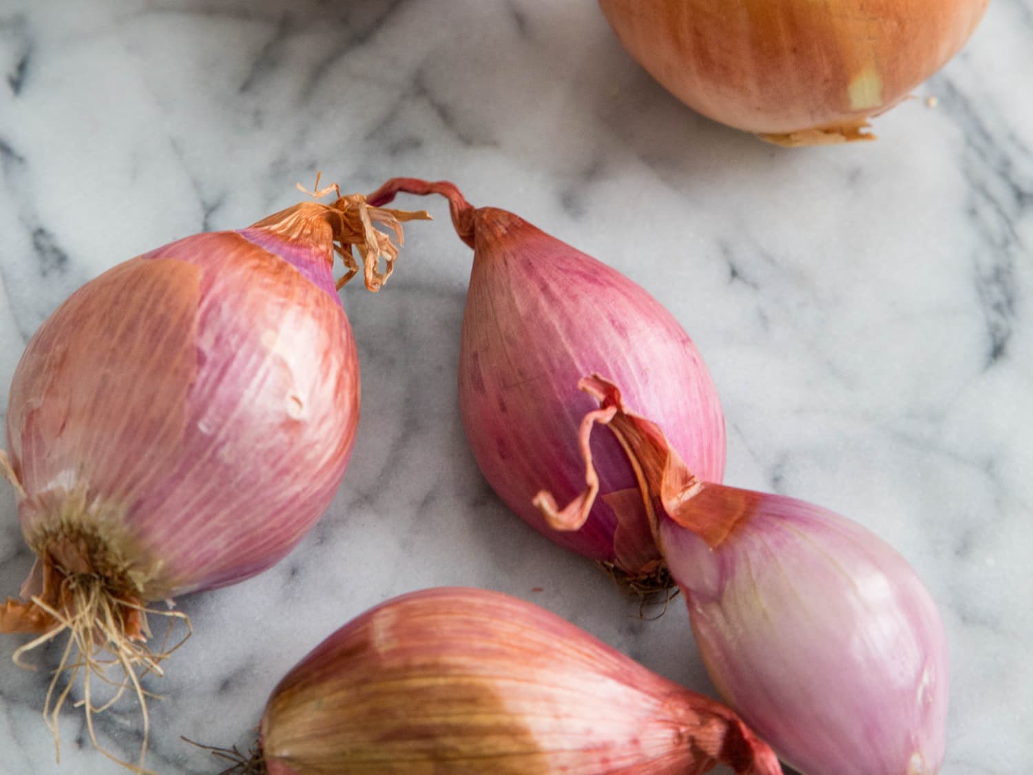 How to Substitute a Shallot for an Onion