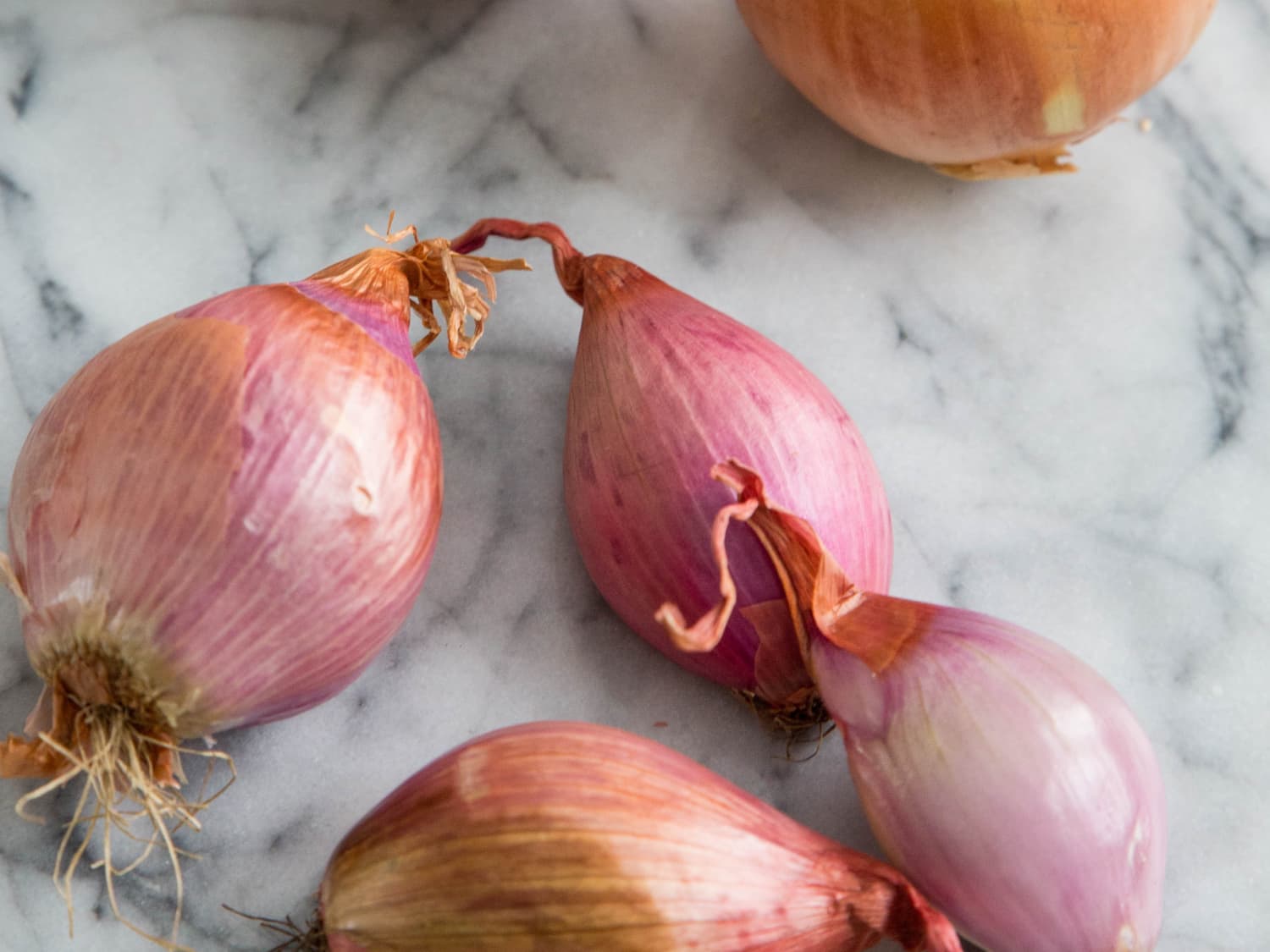 Substitute onion for shallot, but scallions are a little trickier