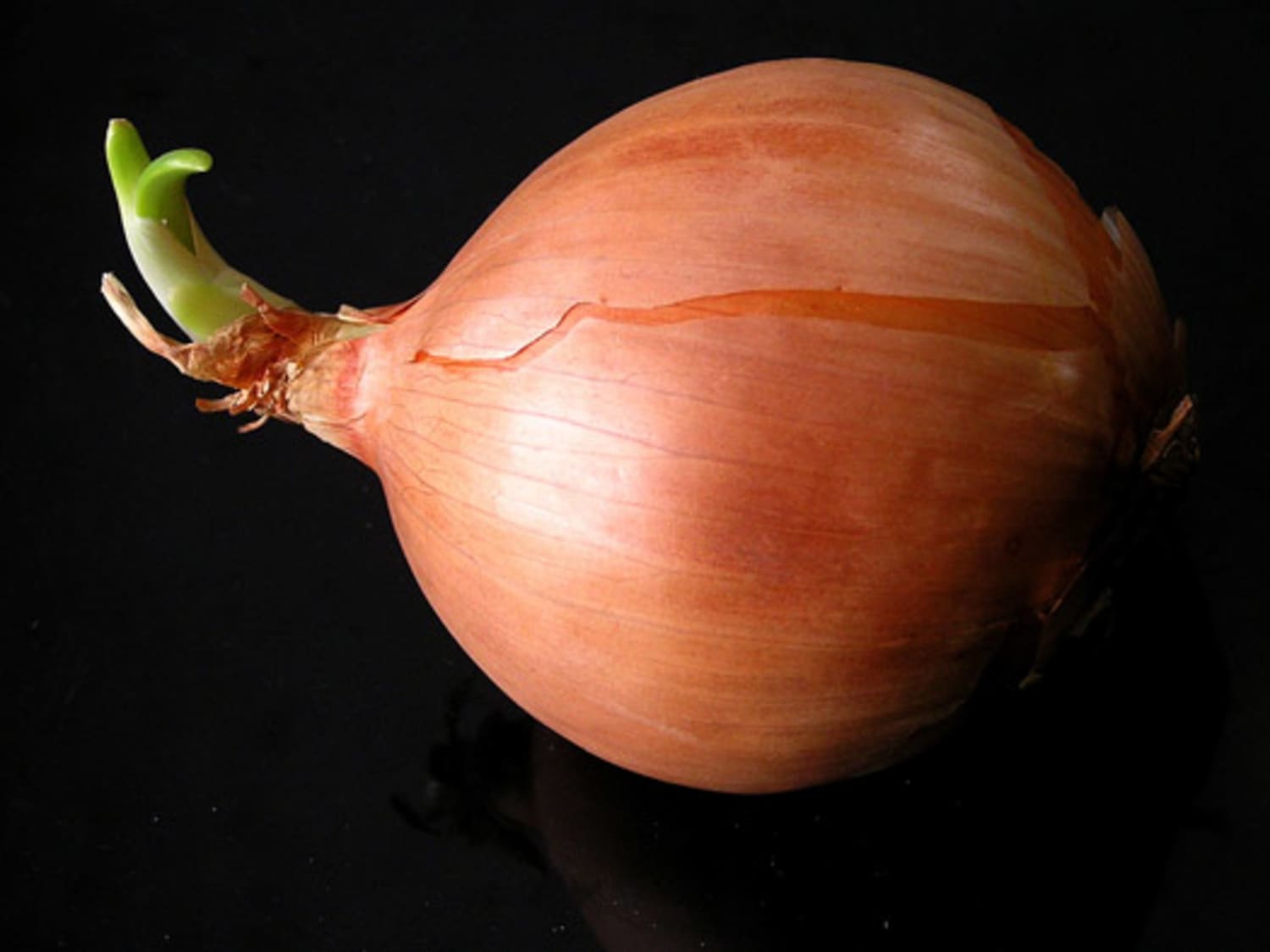 Raw To Sweet: How To Change The Intensity Of Onions | Kitchn