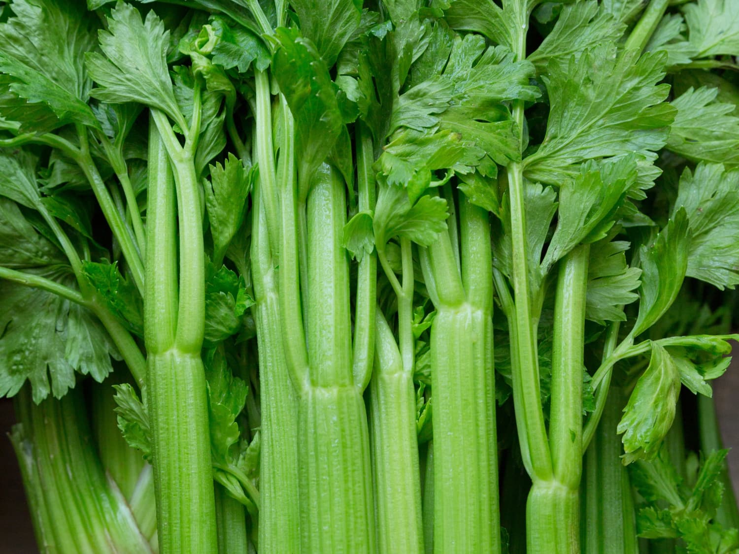 10 Ways To Use Up Leftover Celery Kitchn