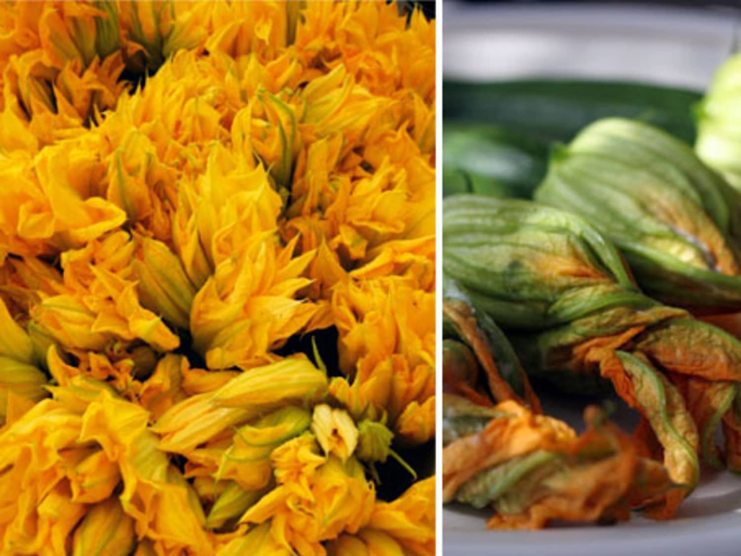Five Ways To Eat Squash Blossoms Kitchn