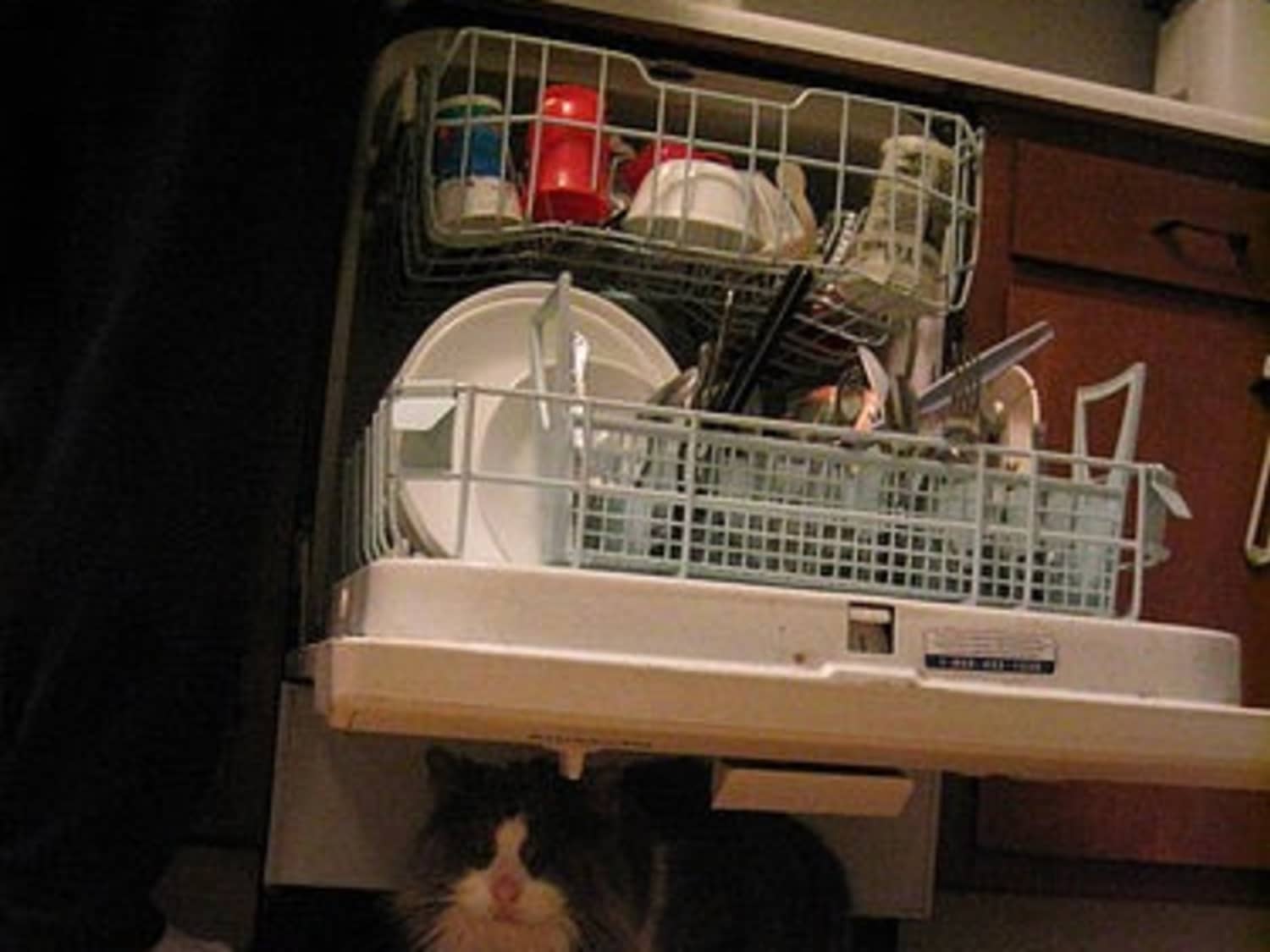 How Do You Clean A Stinky Dishwasher Kitchn