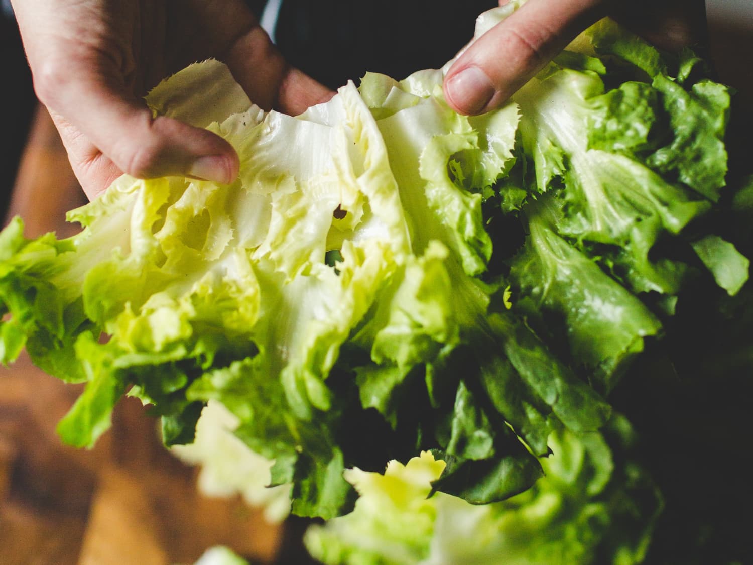 3 Reasons To Drop That Lettuce And Meet Escarole | Kitchn