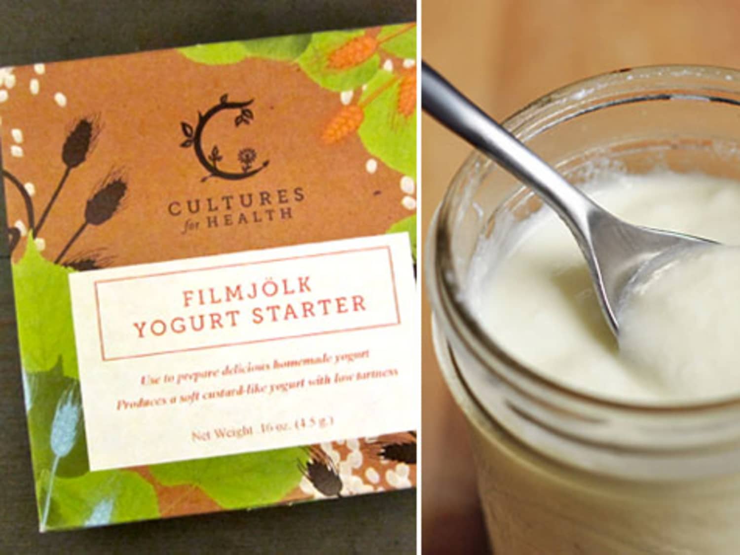 Heirloom Yogurt Starters from Cultures for Health | Kitchn