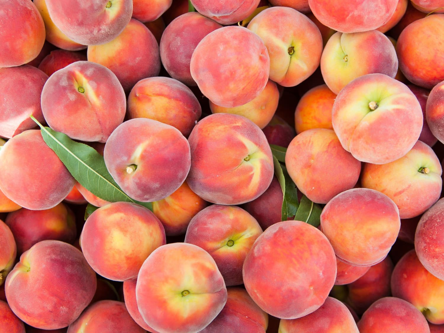 What S The Fastest Way To Ripen A Peach Kitchn