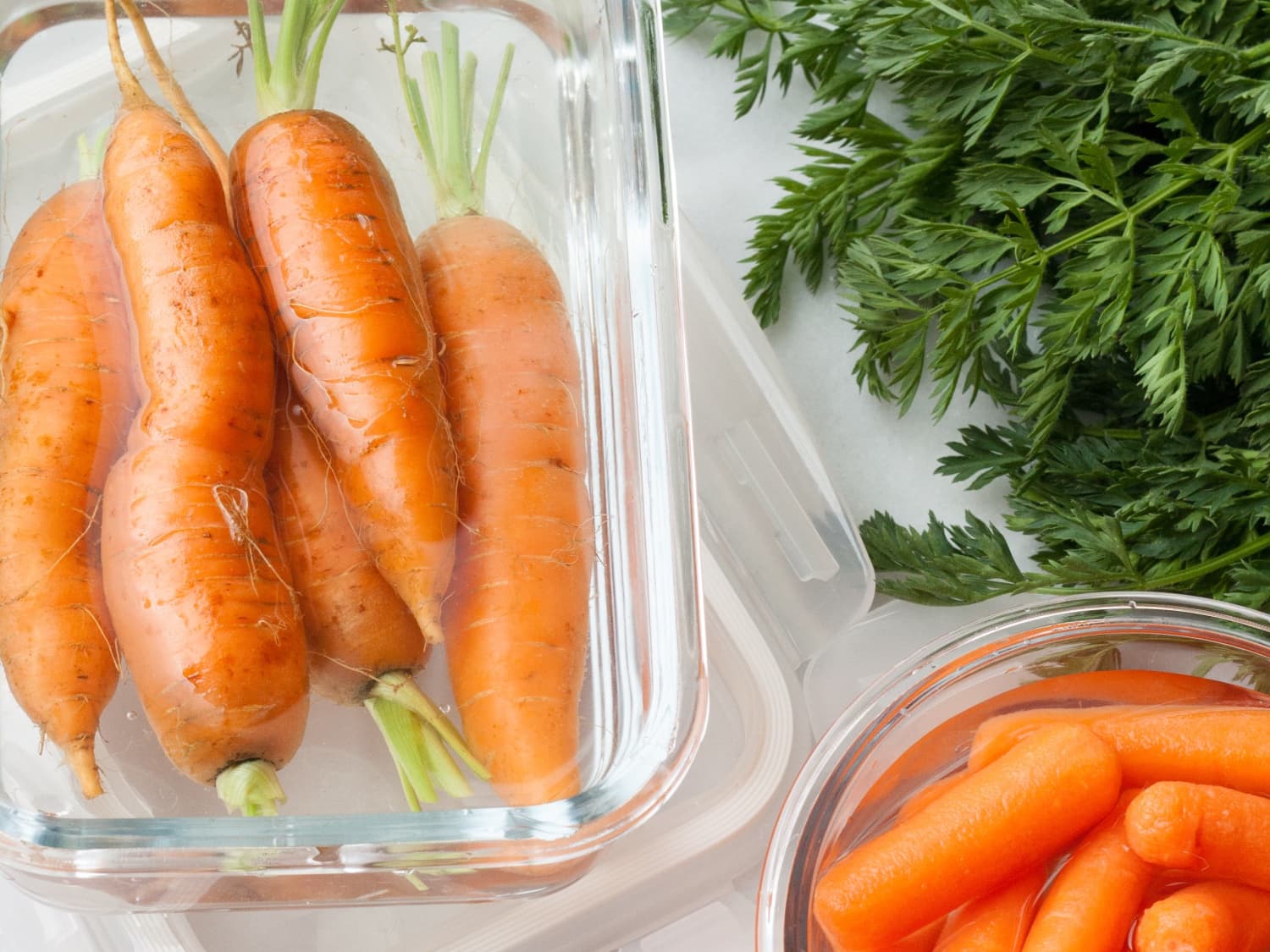 The Best Way To Keep Carrots Crisp And Fresh Kitchn