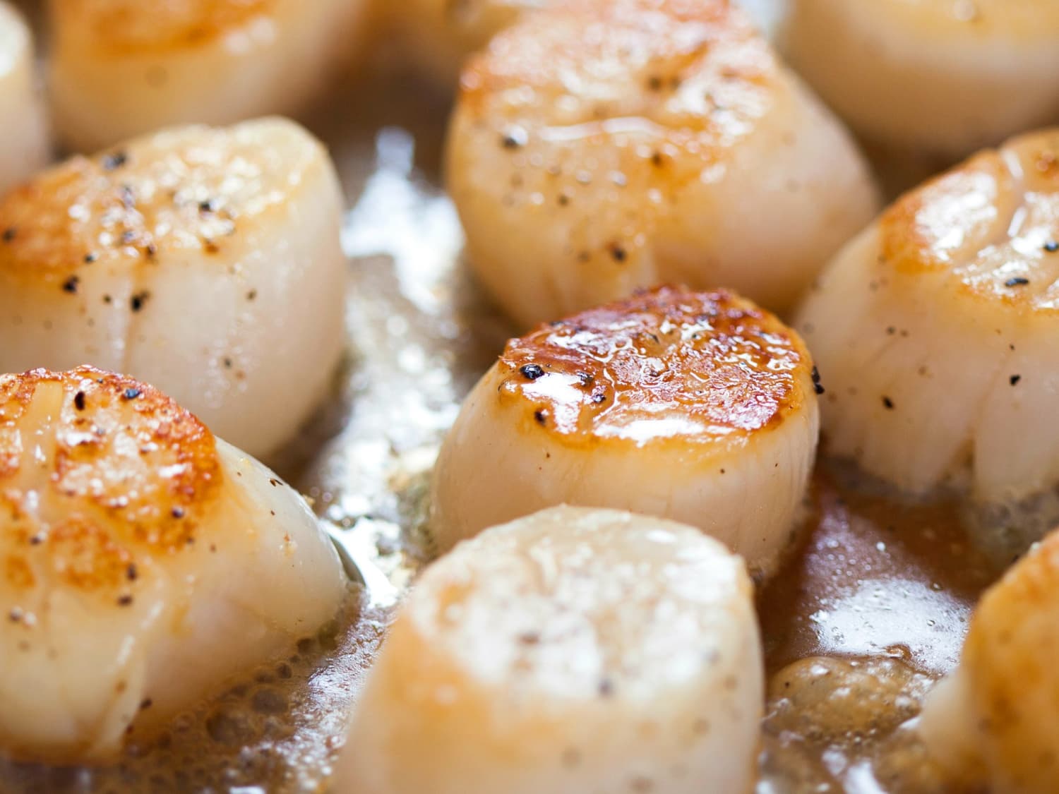 How To Cook Scallops On The Stovetop Kitchn