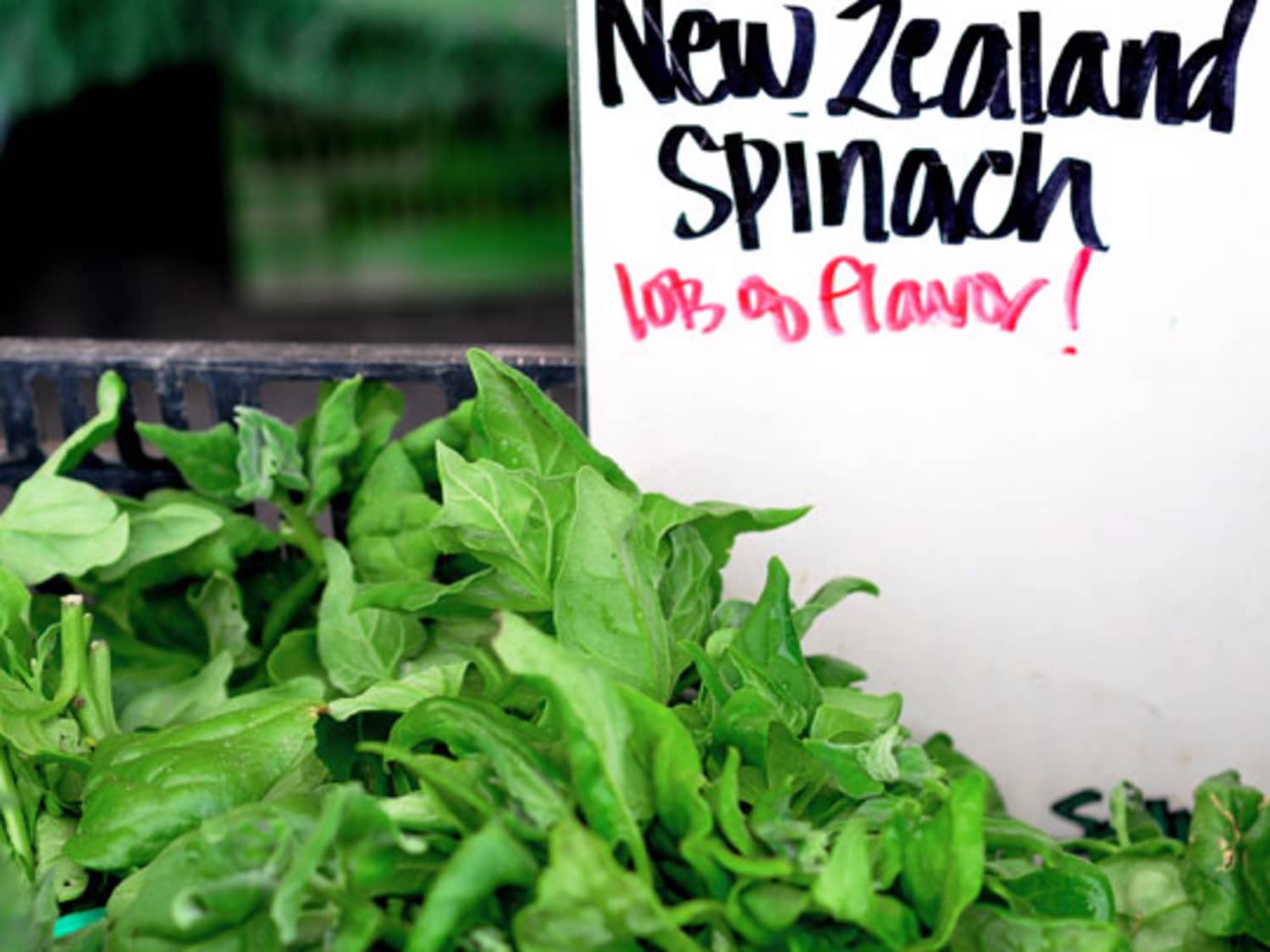 Farmers' Market Find: New Zealand Spinach | Kitchn