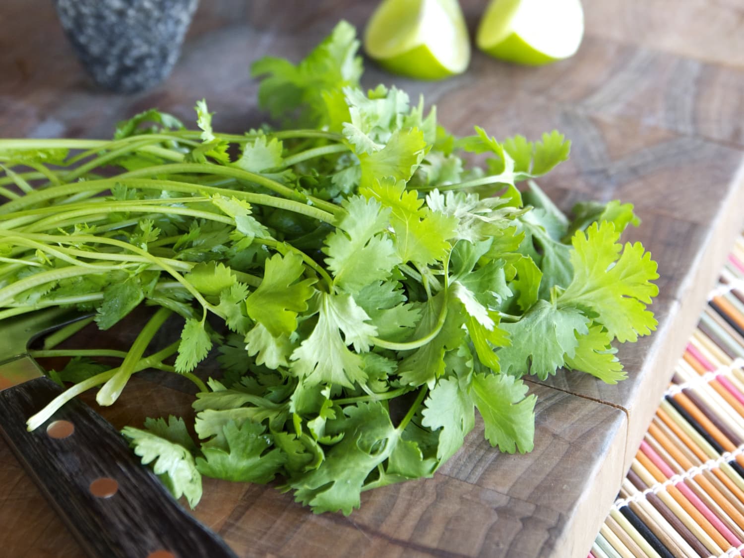 Everything You Need To Know About Growing Cilantro Kitchn Cilantro (coriandrum sativum) is an herb with savory, deep green leaves that are harvested fresh and used to flavor a variety of asian and latin dishes. growing cilantro