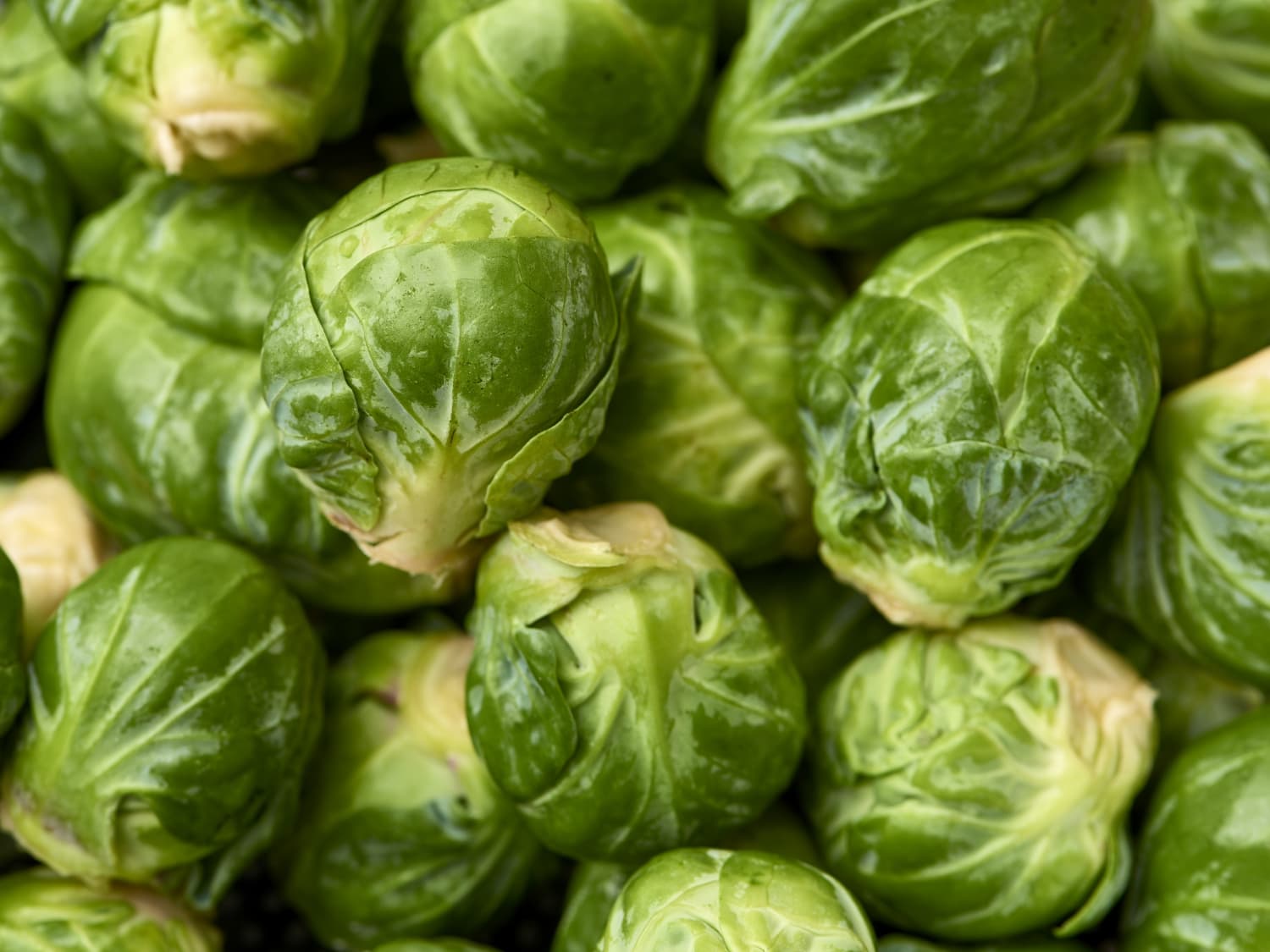 How To Prep Store Brussels Sprouts Kitchn