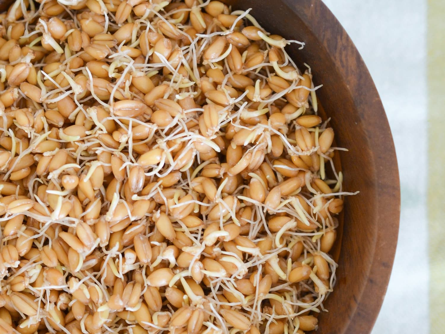 How To Make Sprouted Grains Kitchn