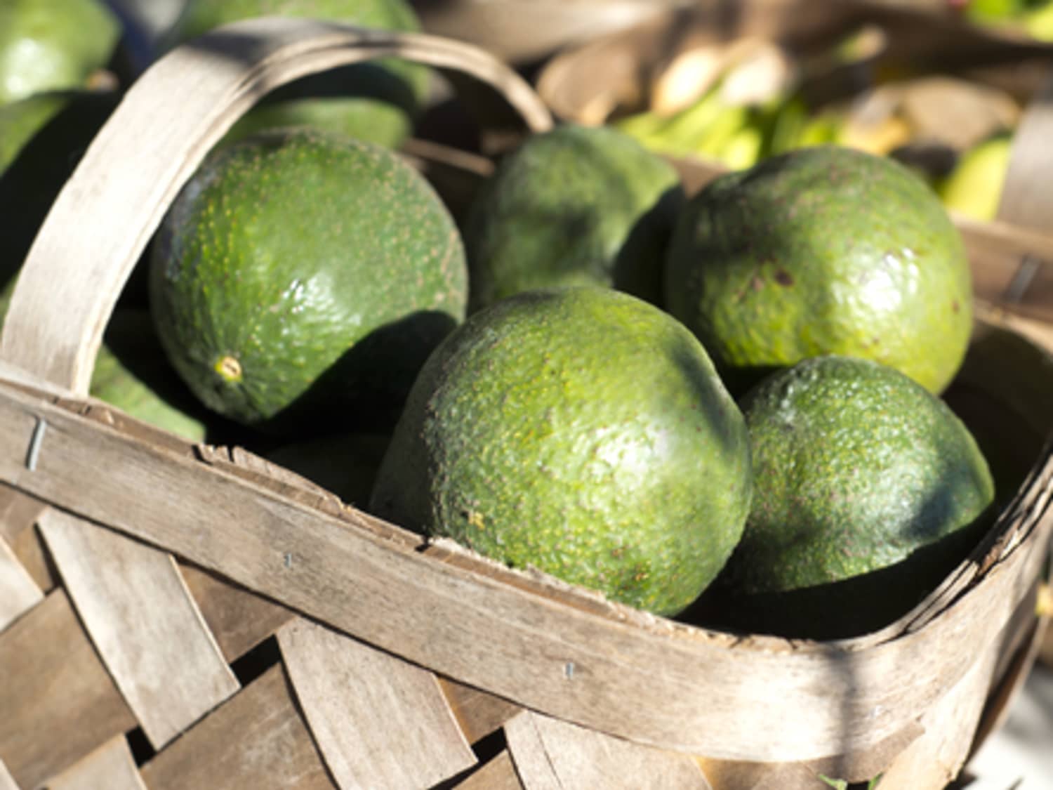Tips For Making Better Guacamole With Florida Avocados Kitchn