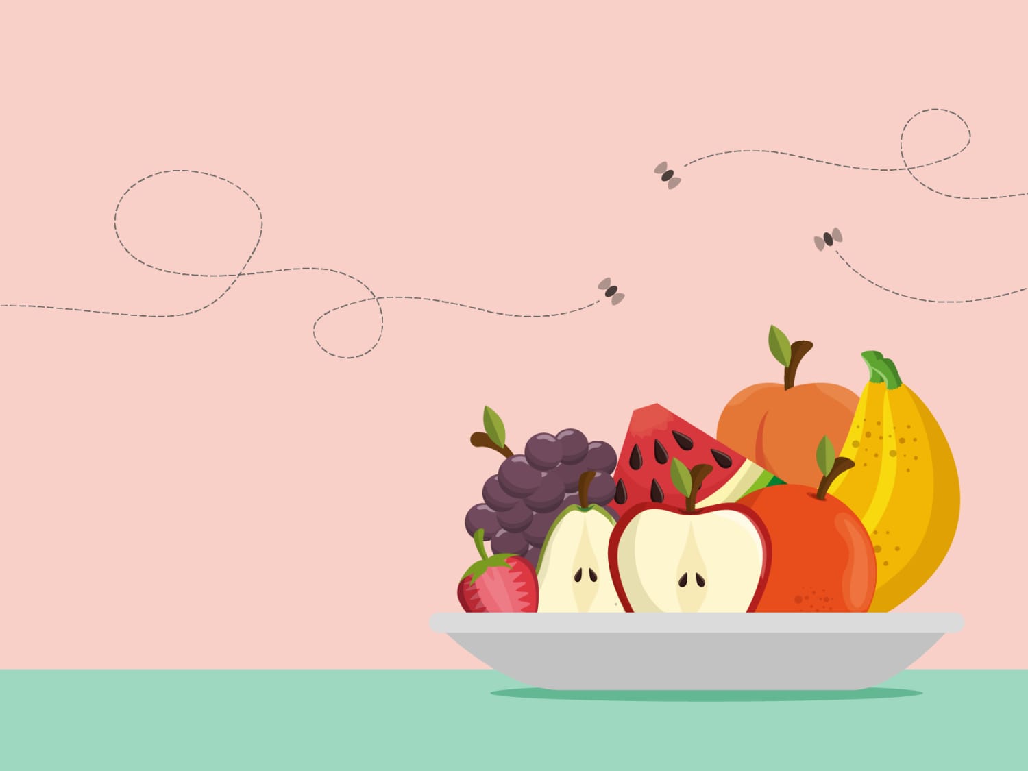 Best Fruit Fly Traps - Amazon | The Kitchn