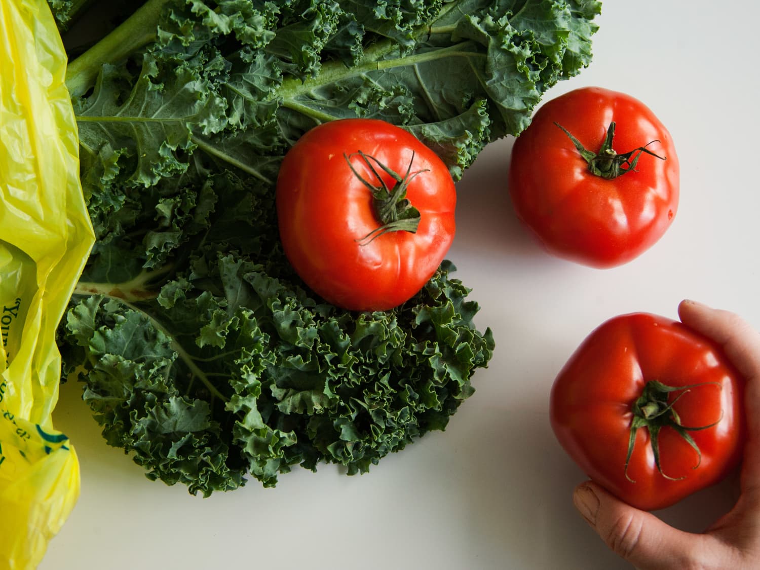Here S What 1 Pound Of Tomatoes Looks Like Kitchn