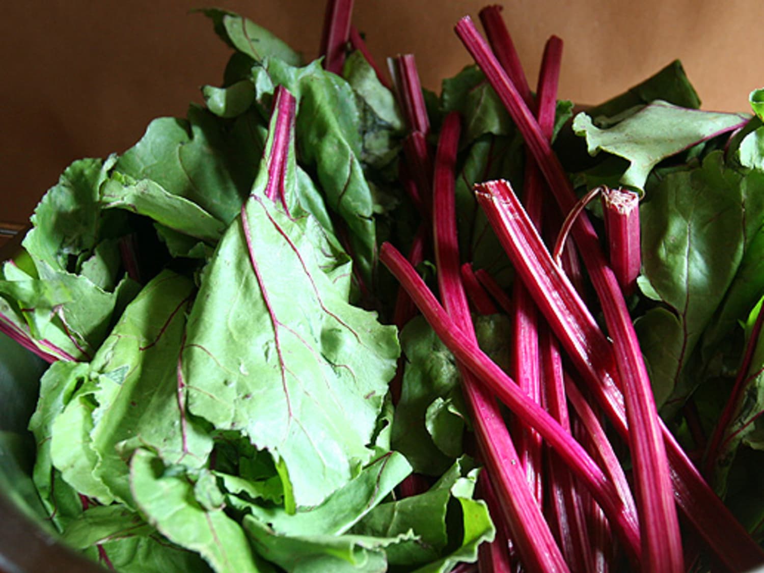 свекольная ботва. листовая свекла мангольд. ботва молодой свеклы. мангольд красный. ботва свекольная ботва.