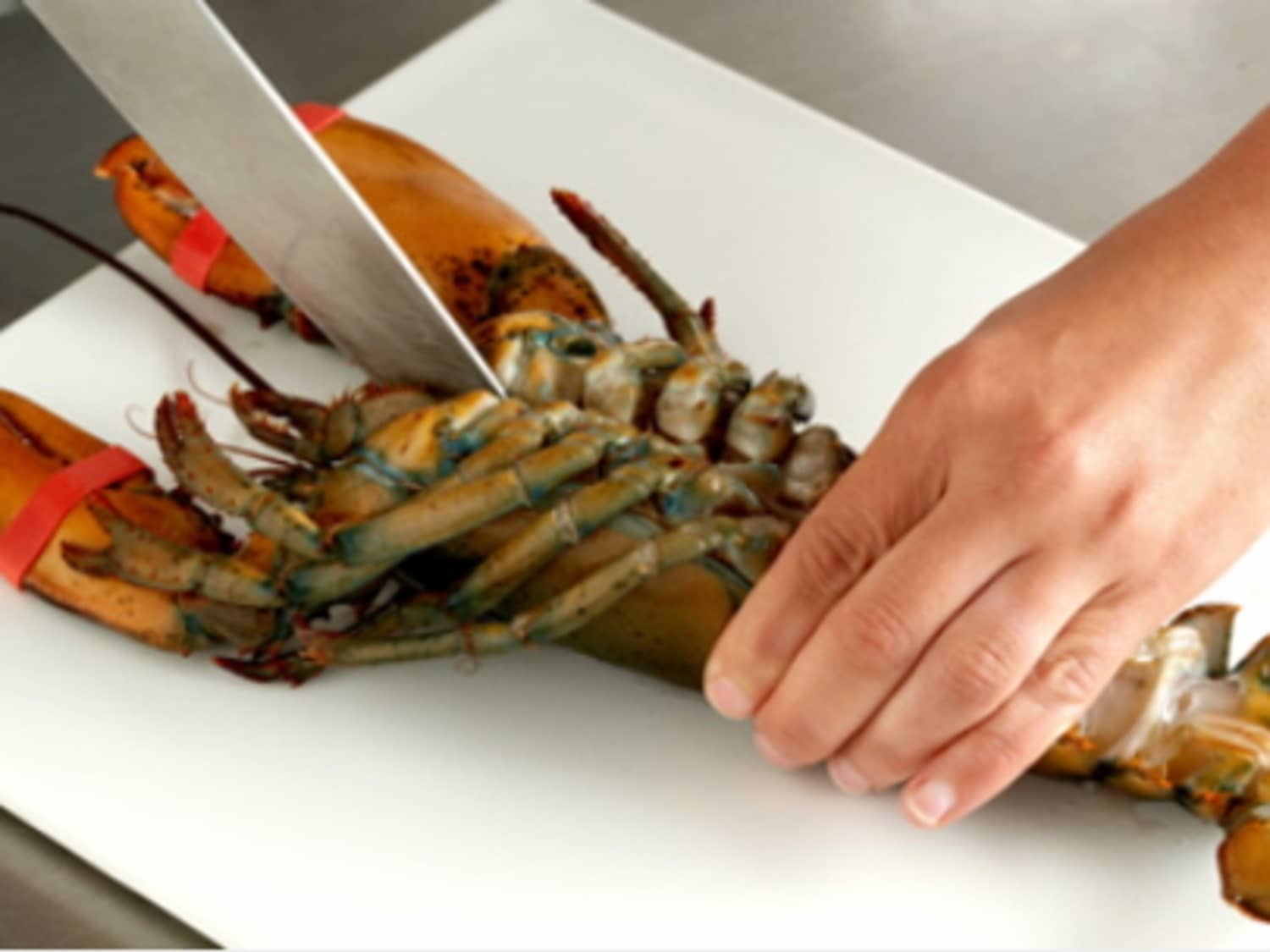 How To Kill A Lobster (Humanely)Fine Cooking | Kitchn