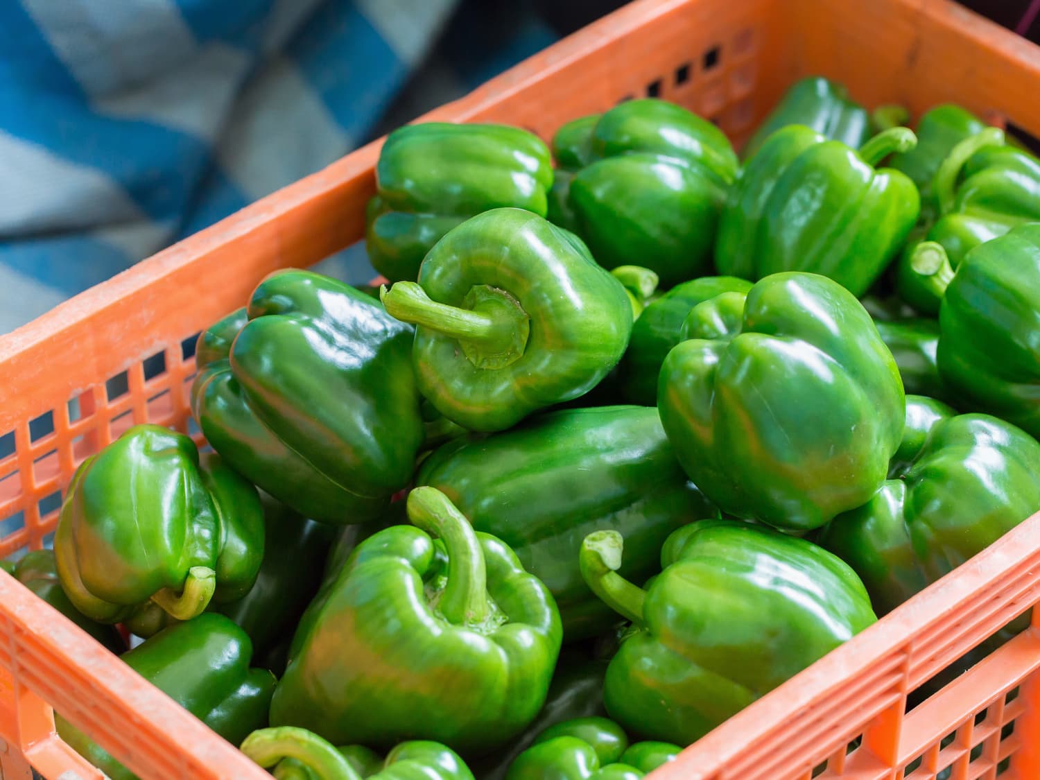 Green Bell Peppers