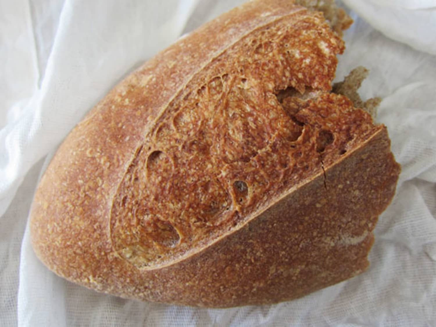How To Soften Hard Bread Kitchn
