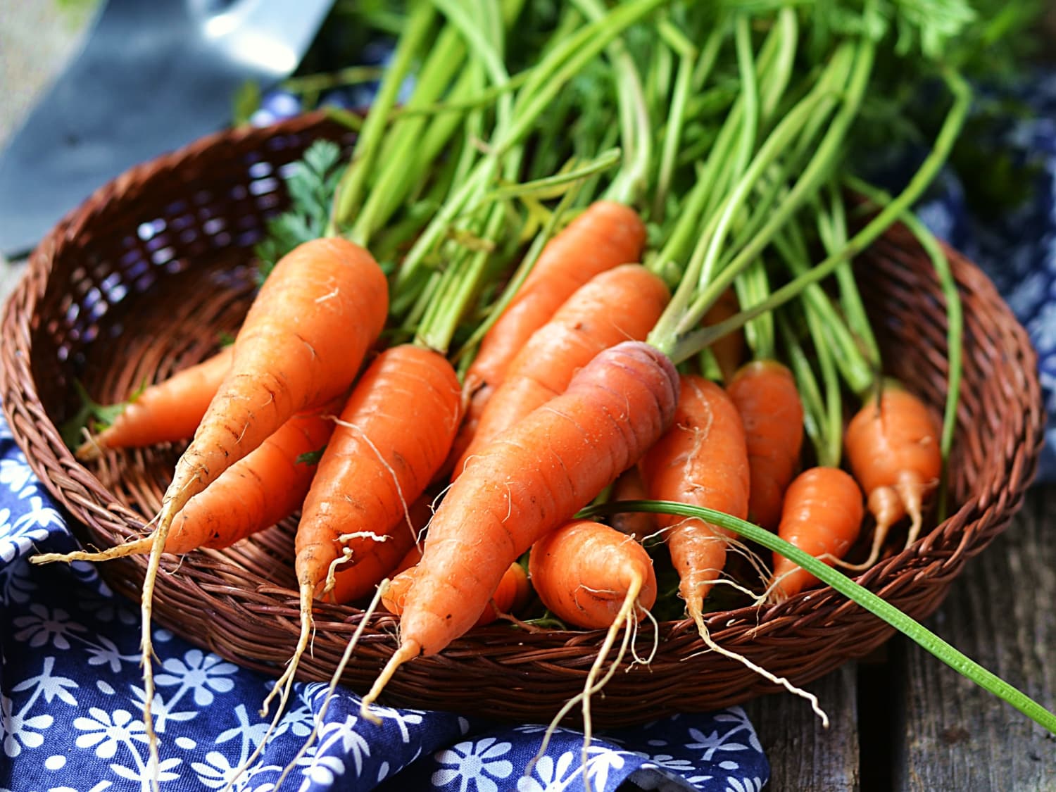 The Mystery of Carrots That Taste Like Soap