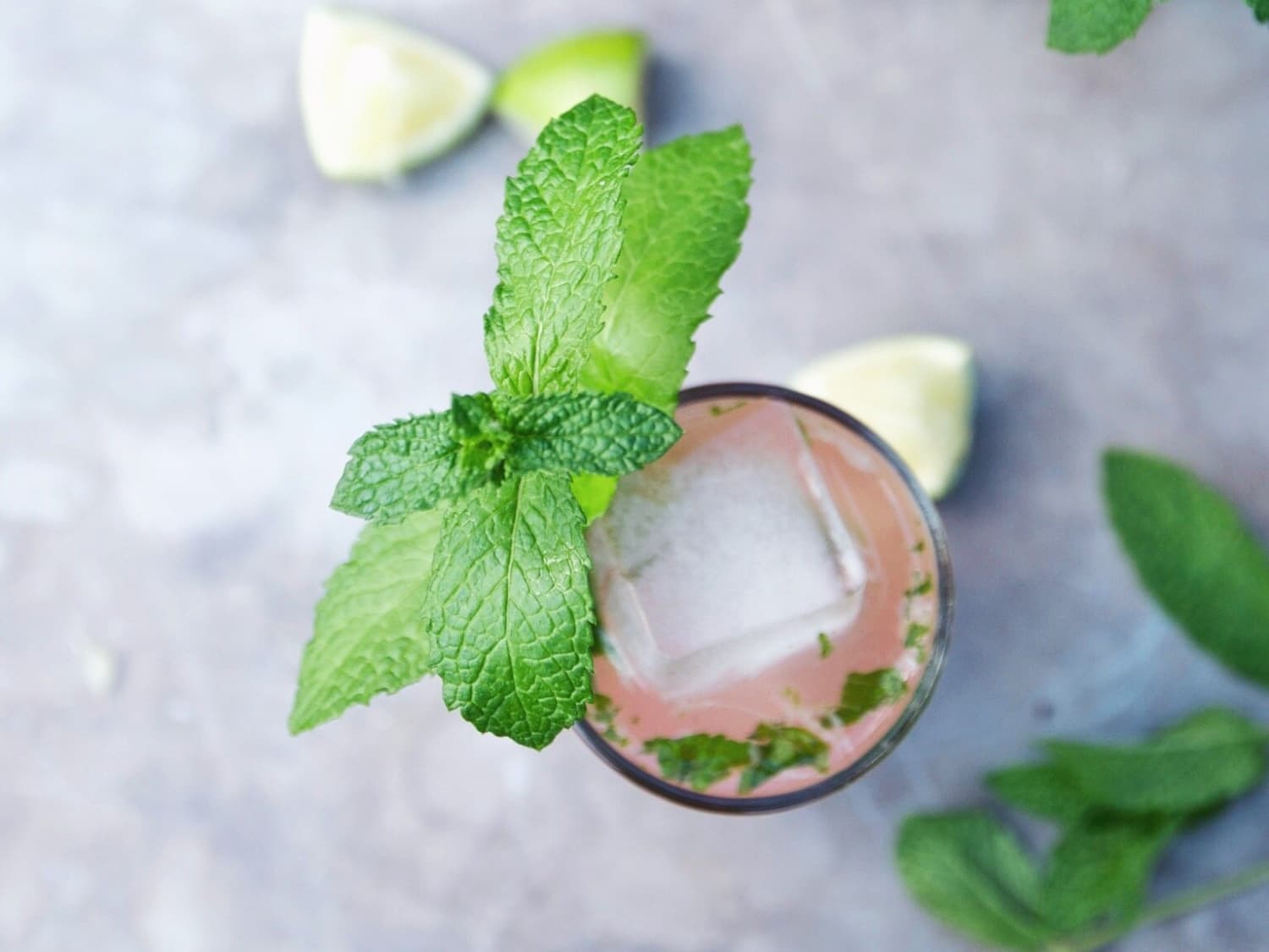 Everything You Need To Know About Growing Mint Kitchn