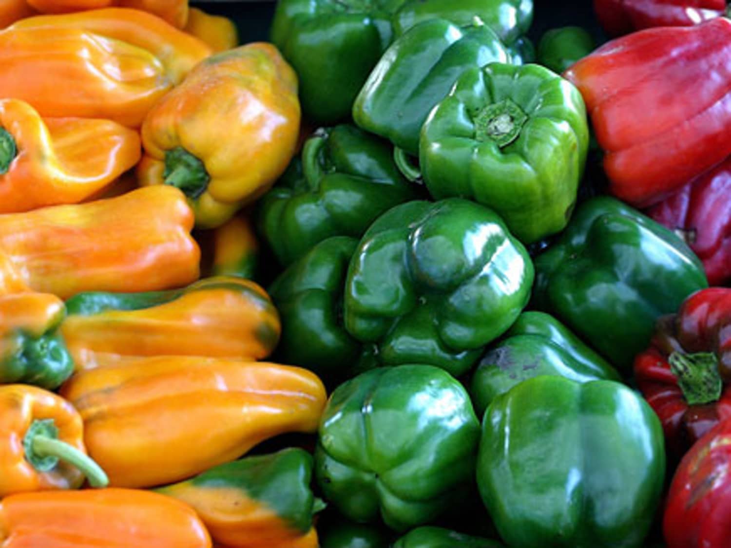 Gypsy Bell Peppers Information and Facts