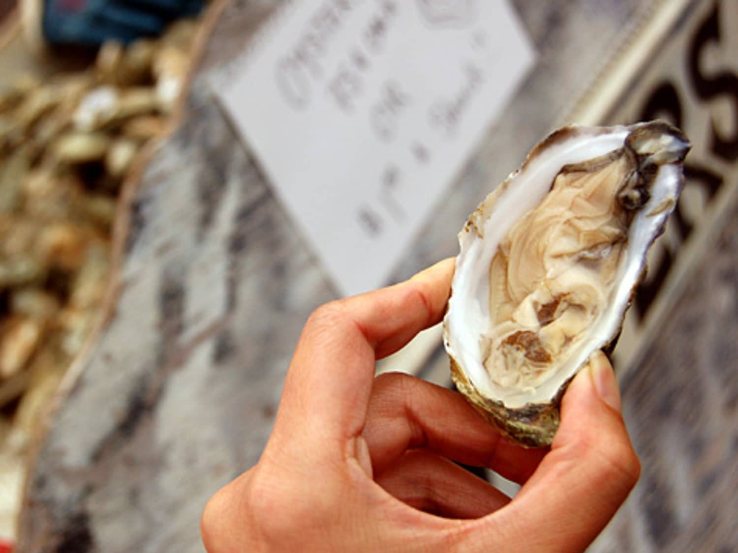 Fact Or Fiction Following The R Rule For Shellfish Kitchn