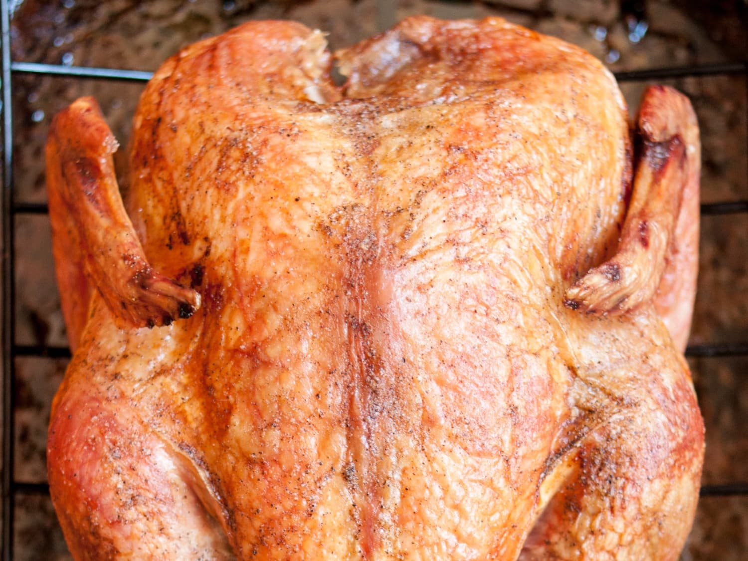 Thanksgiving Turkey in a Bag and Other Gimmicks We've Tried - The