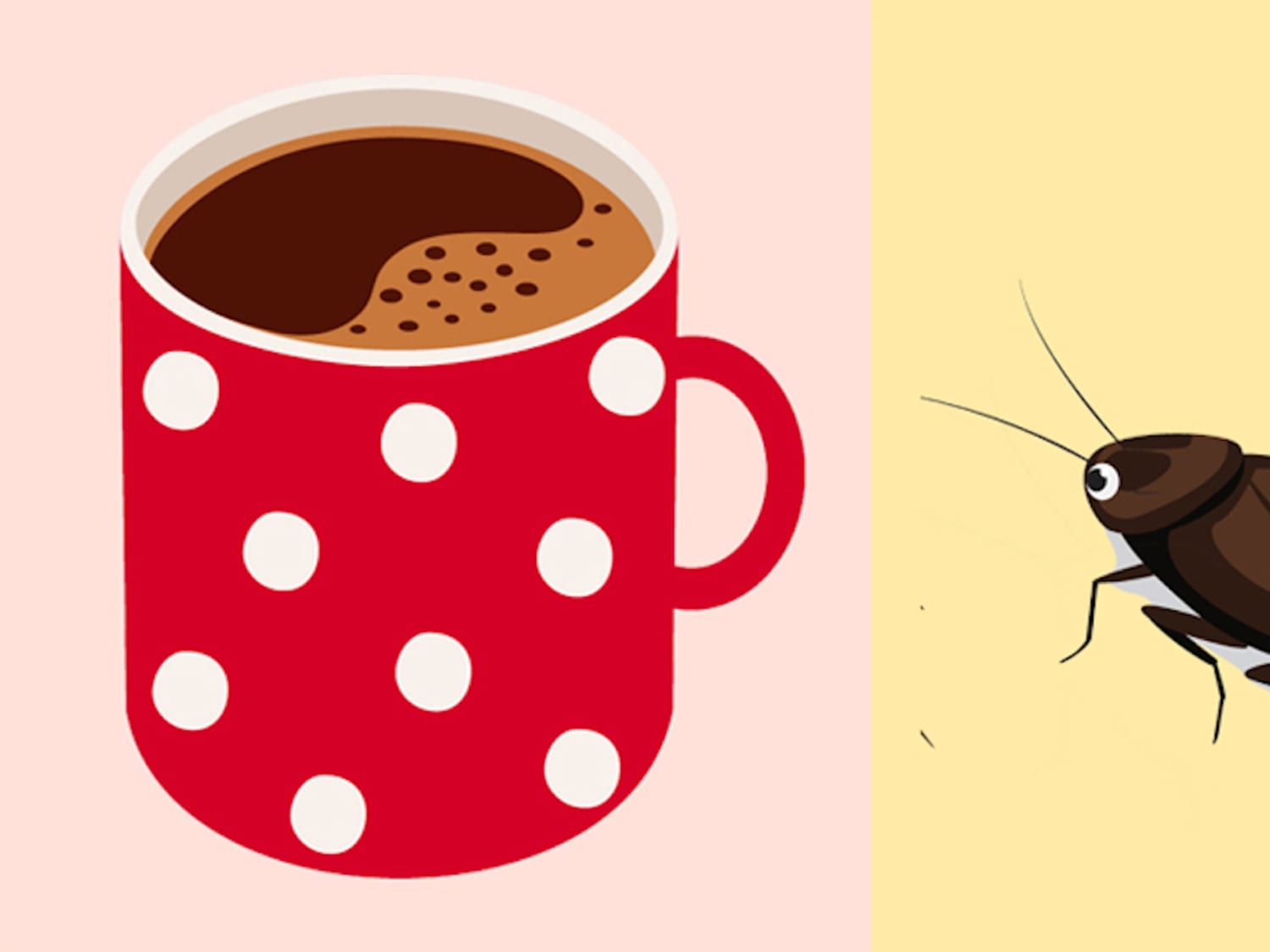 Roaches In Your Kitchen Check The Coffee Maker Kitchn