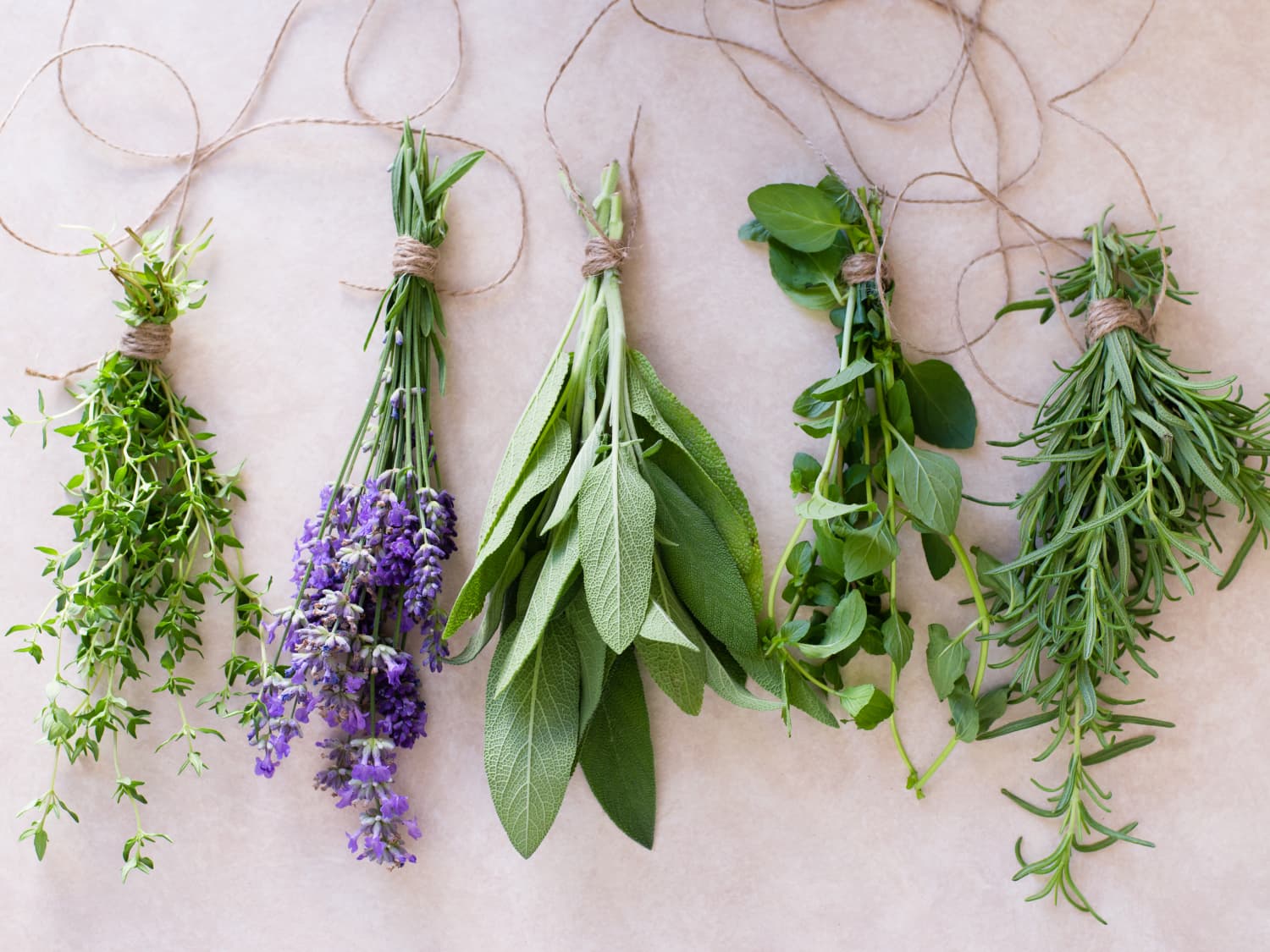 Cleaning And Preparing Herbs