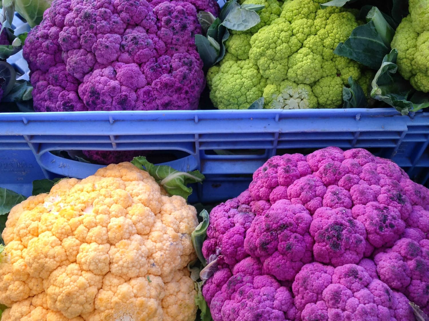 What S The Deal With Orange And Purple Cauliflower Kitchn But two purples on the pop star shared how their experience with eating disorders makes comments about their body. orange and purple cauliflower