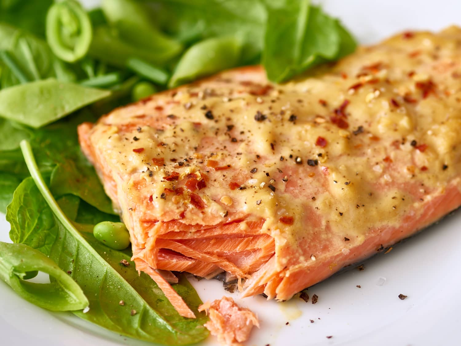 how to bake salmon from frozen