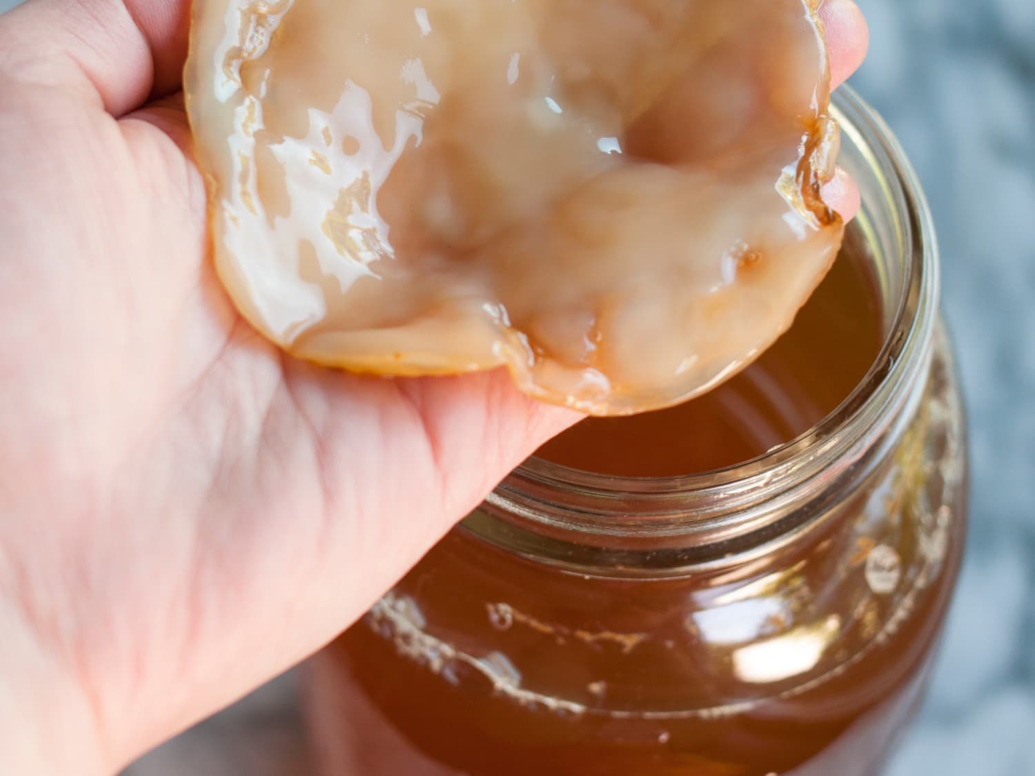 Did You Know You Can Make Clothes out of Your Kombucha Scoby?