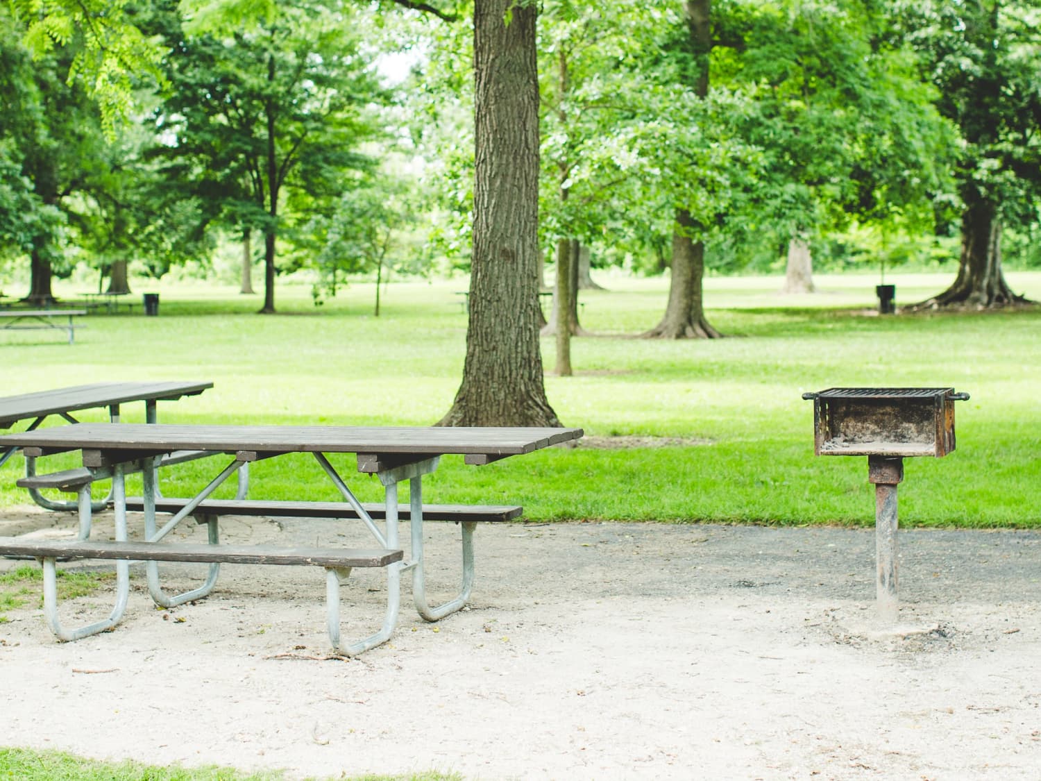 How to use that grody public grill without fear of poisoning your picnic •  Offbeat Home & Life