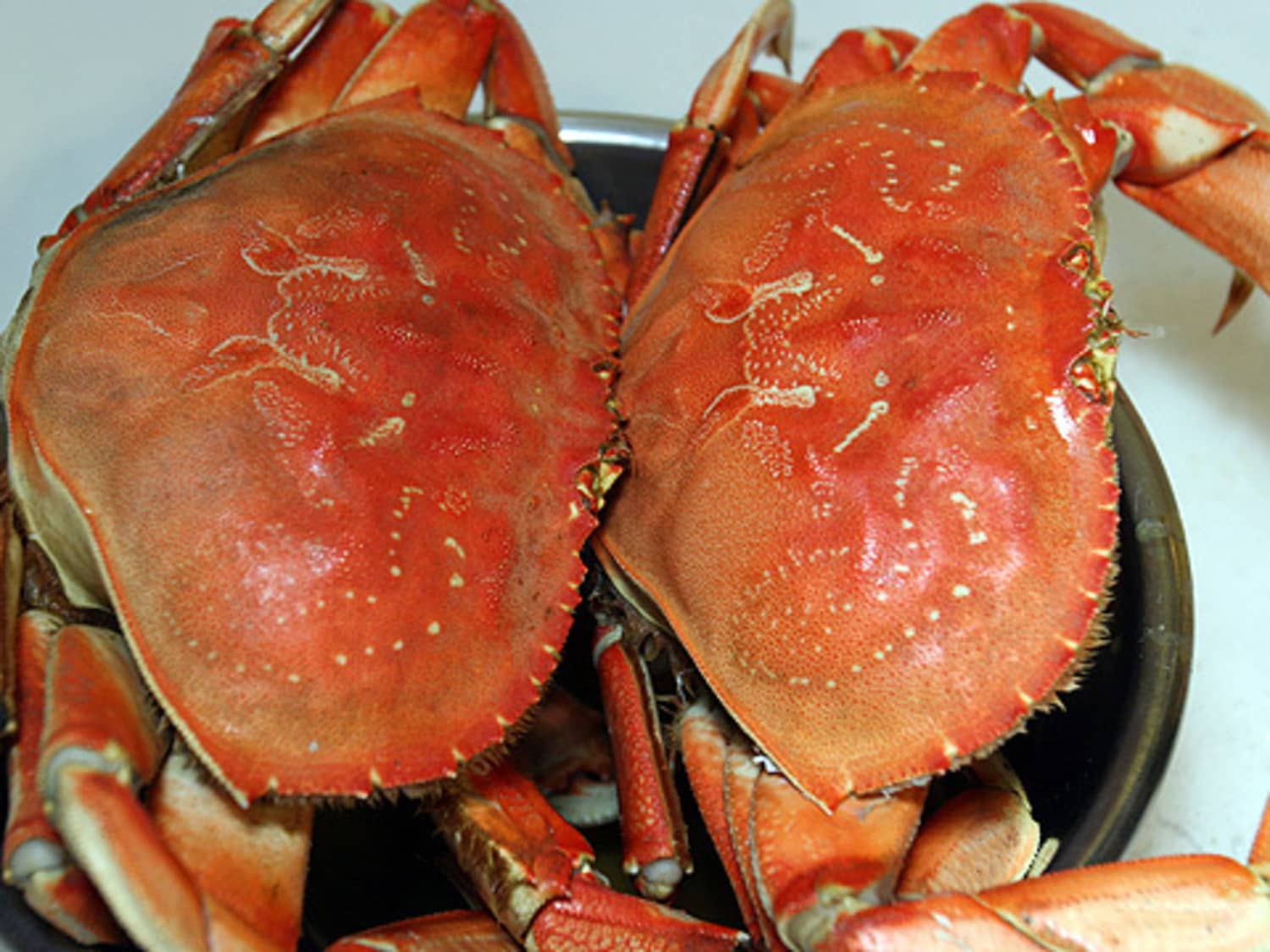 How To: Cook And Clean Dungeness Crab | Kitchn