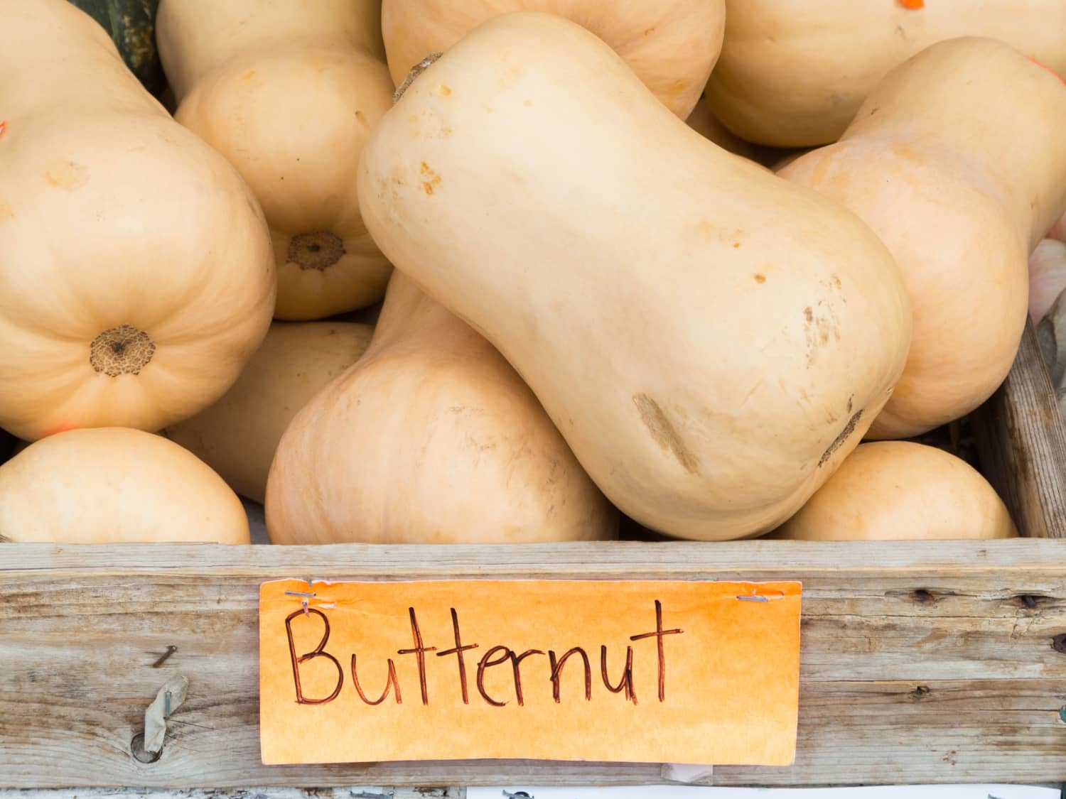 The 11 Varieties Of Winter Squash You Need To Know Kitchn