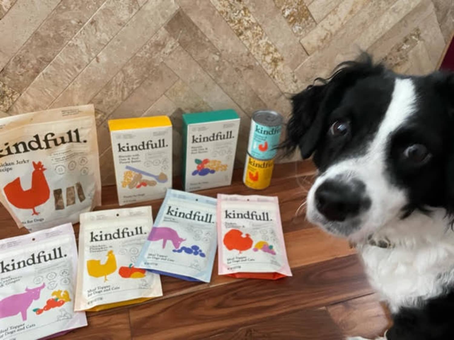 Aldi dog food reviews 2017 online