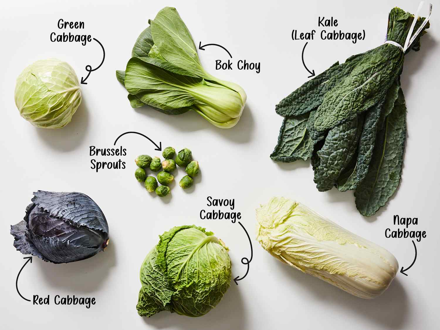 27 Types Of Cabbage Classic To Exotic Varieties Samsung Food