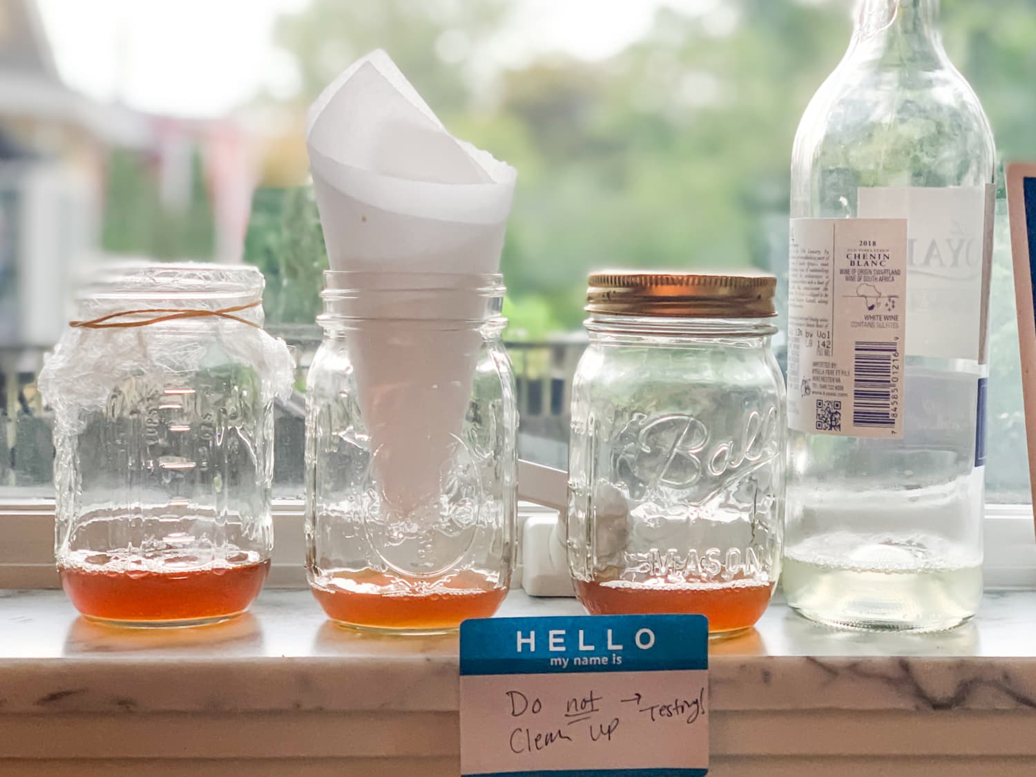 Pop bottle deals fruit fly trap
